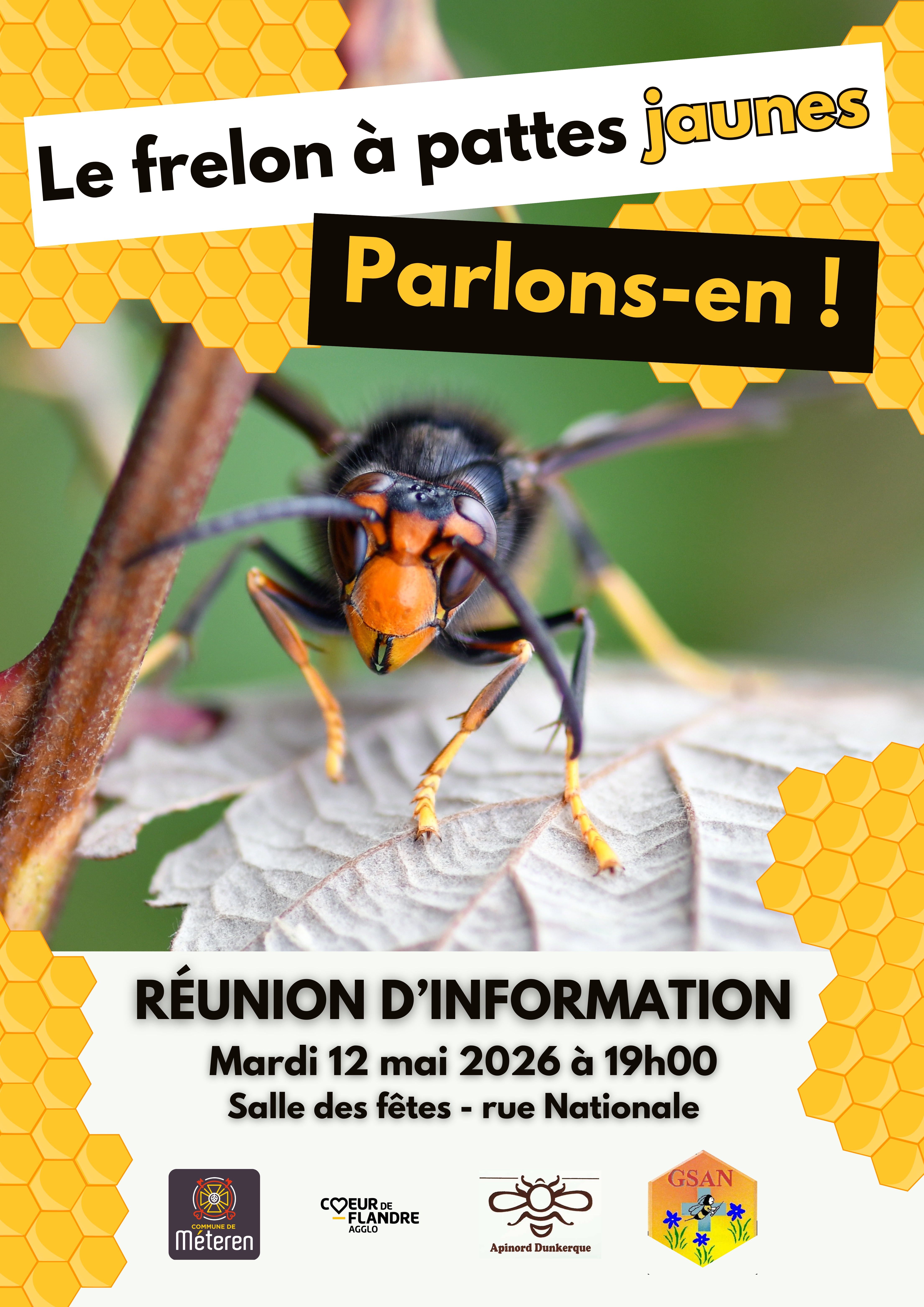 Réunion d_information Frelon à pattes jaunes.jpg