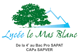 Sans titre.png