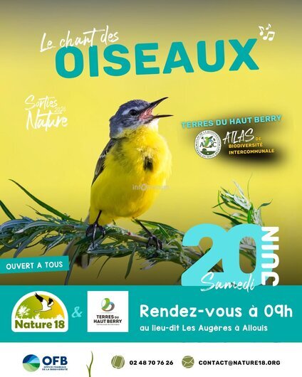 affiche-manif-nature18-chant des-oiseaux.jpg