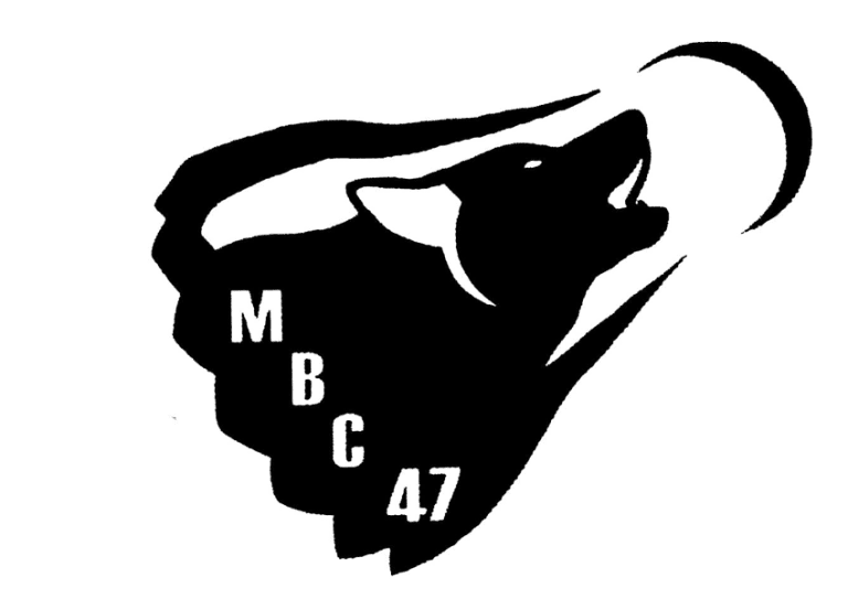 mbc47-1-768x543.png