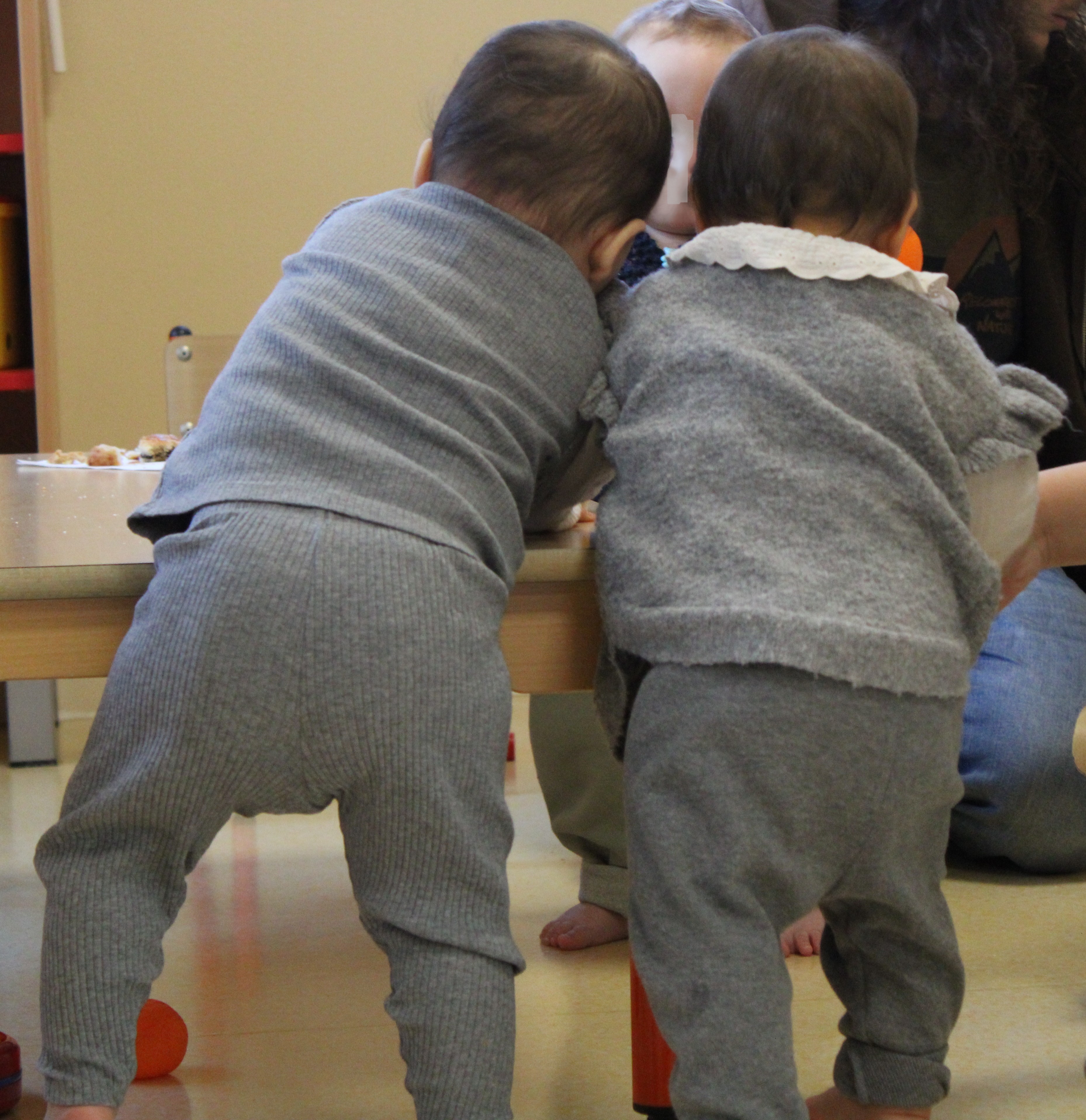 Clôture Parent_hèses _18_.JPG