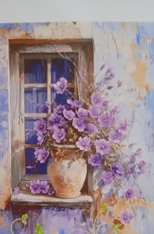 Image1.jpg