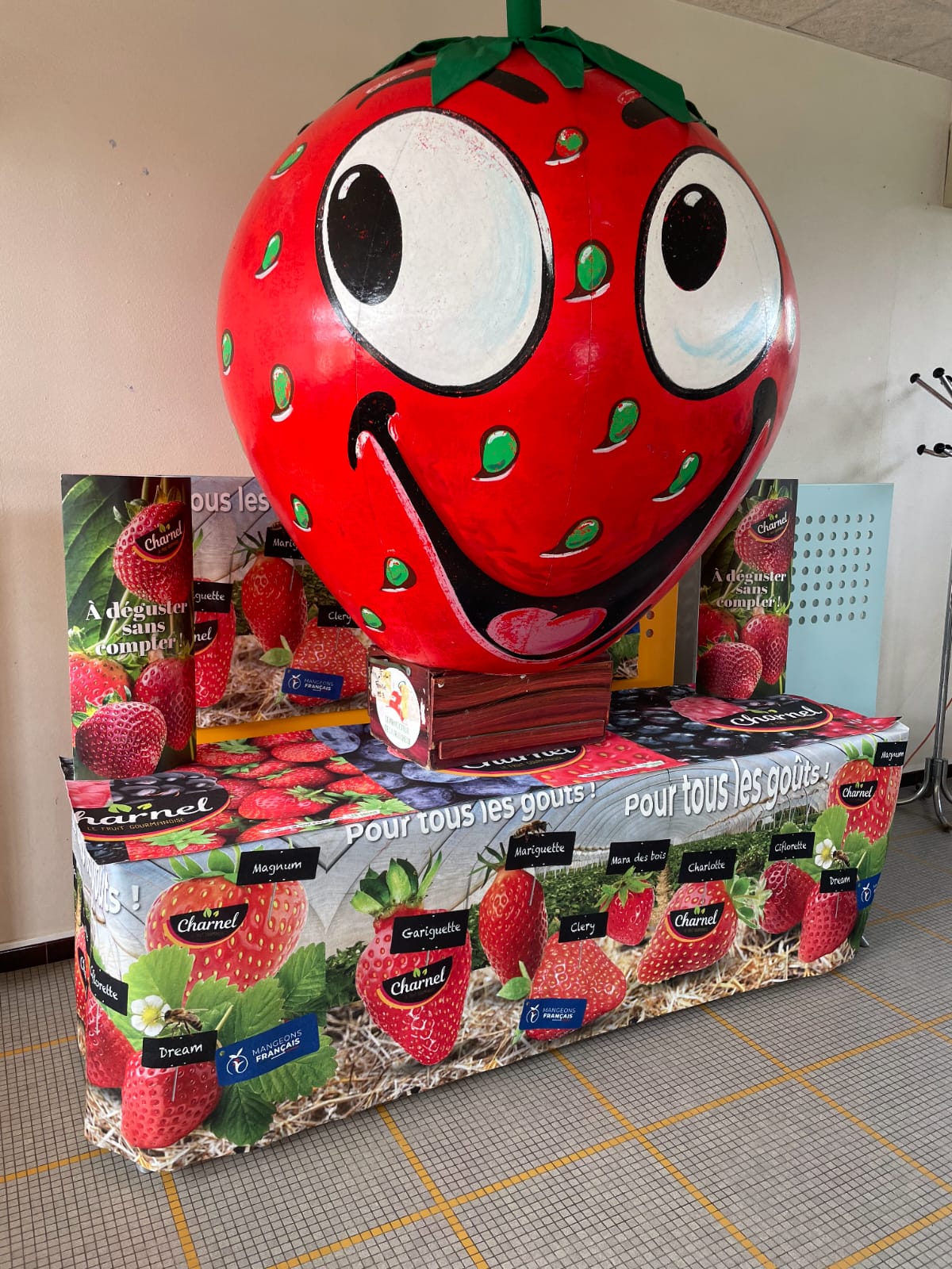 Animation-fruits-rouges _1_.jpeg