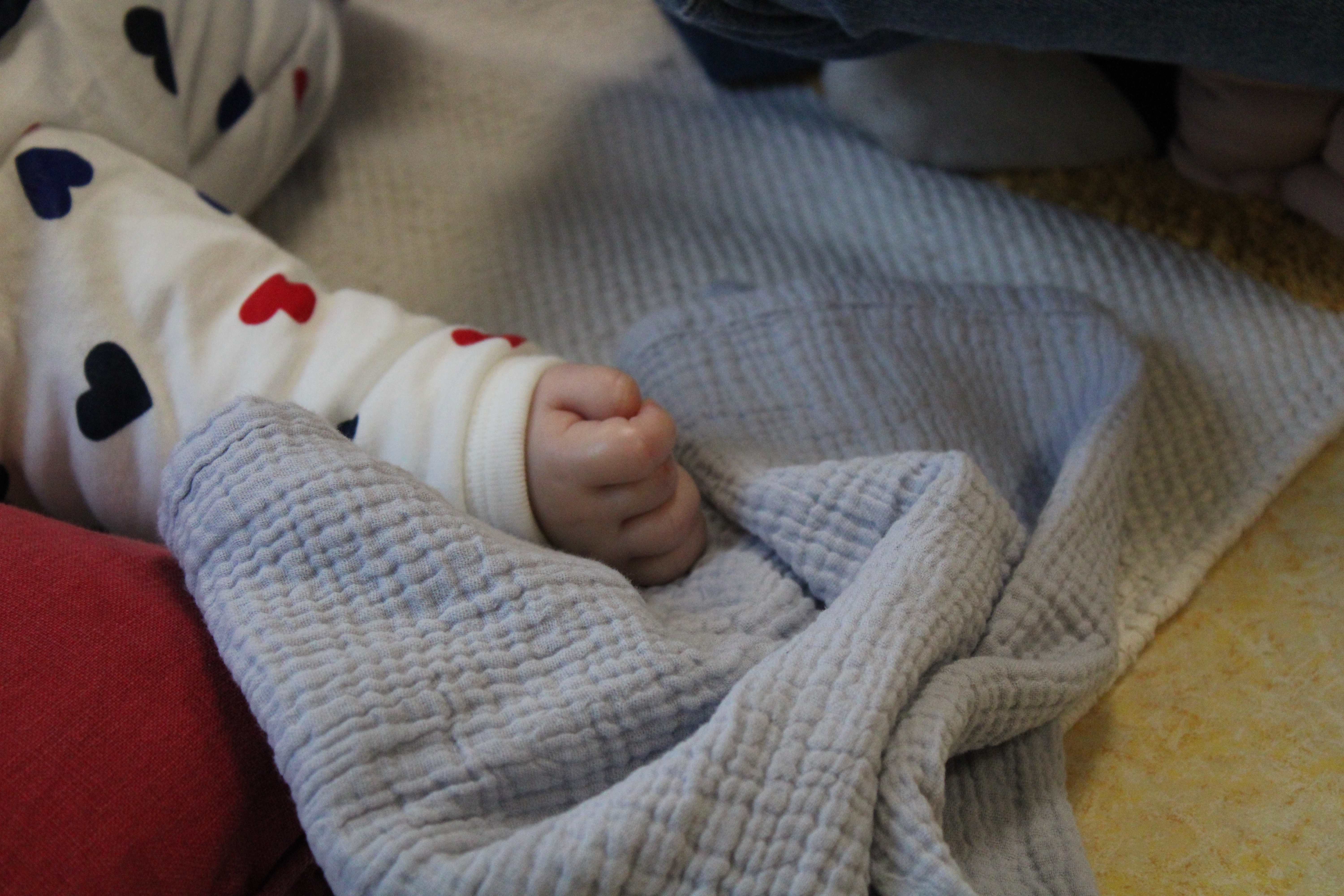 Clôture Parent_hèses _17_.JPG