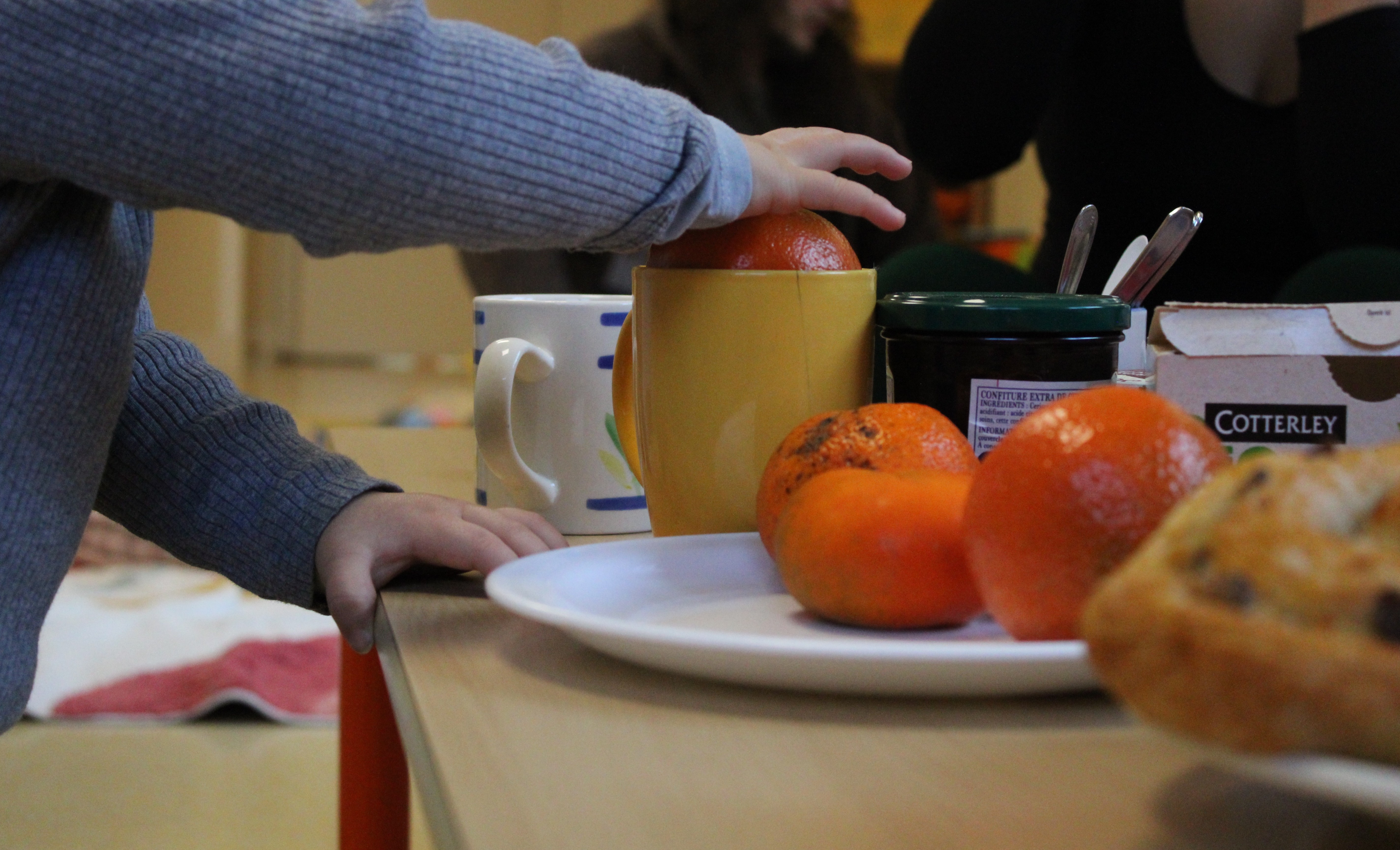 Clôture Parent_hèses _10_.JPG