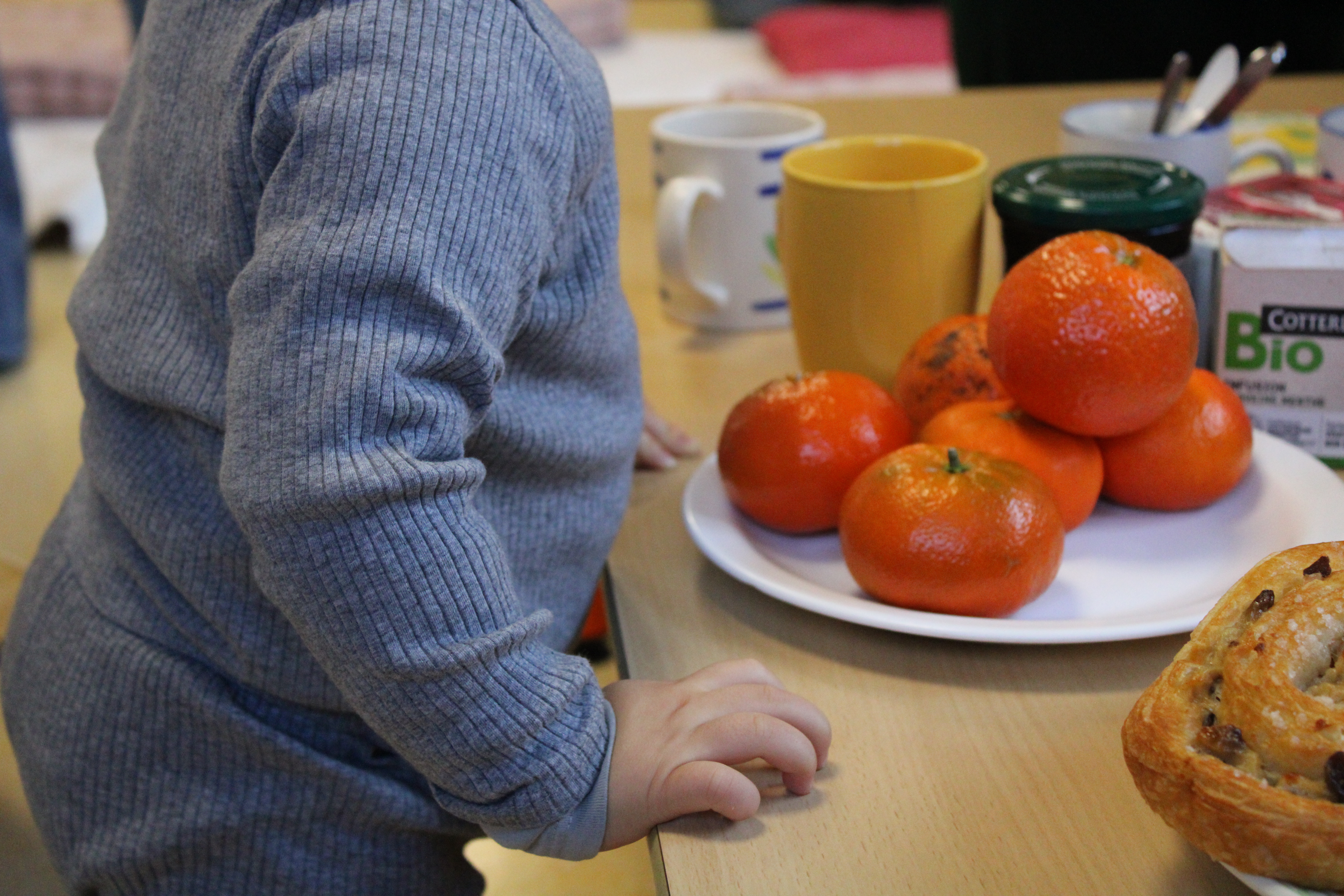 Clôture Parent_hèses _9_.JPG