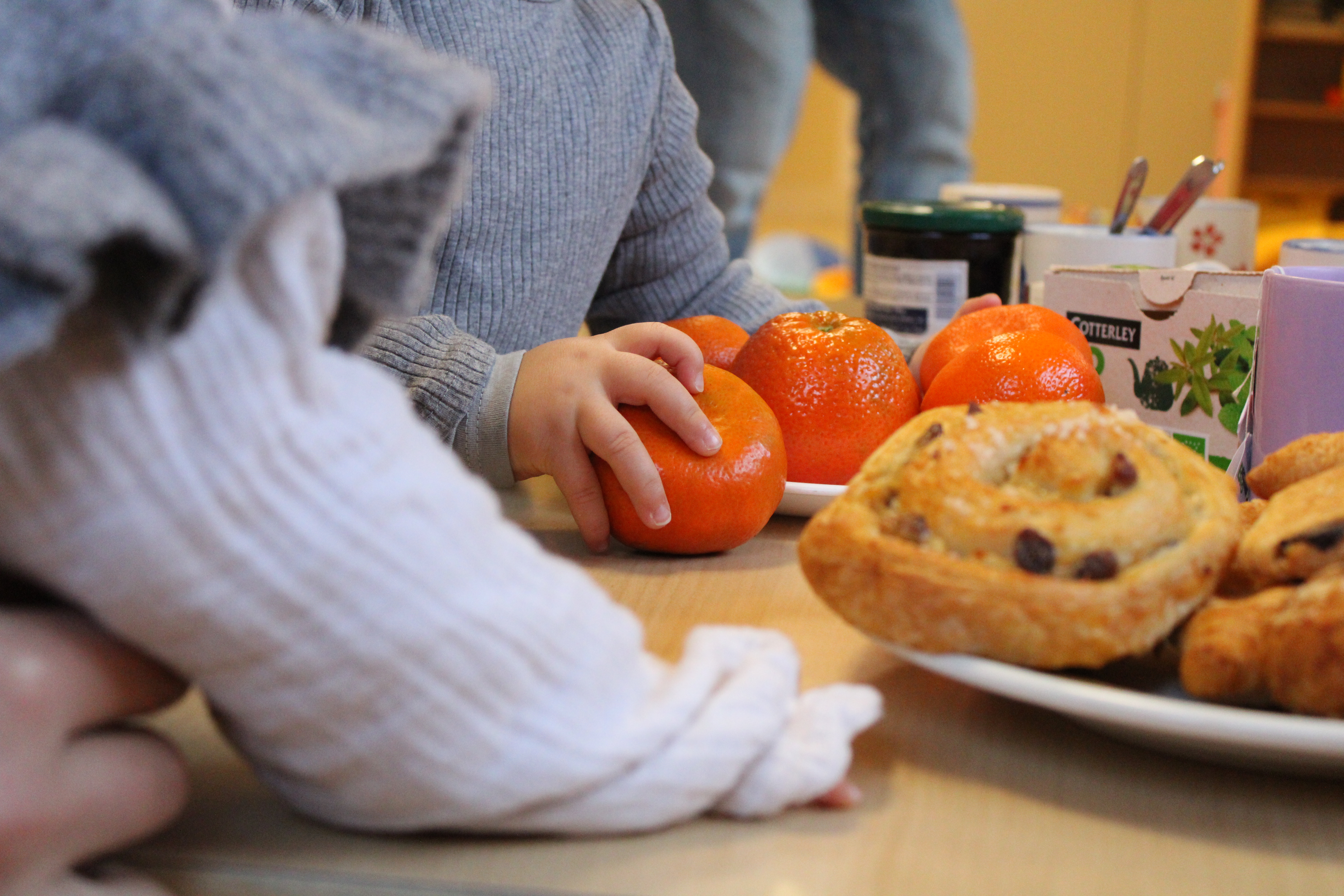 Clôture Parent_hèses _11_.JPG