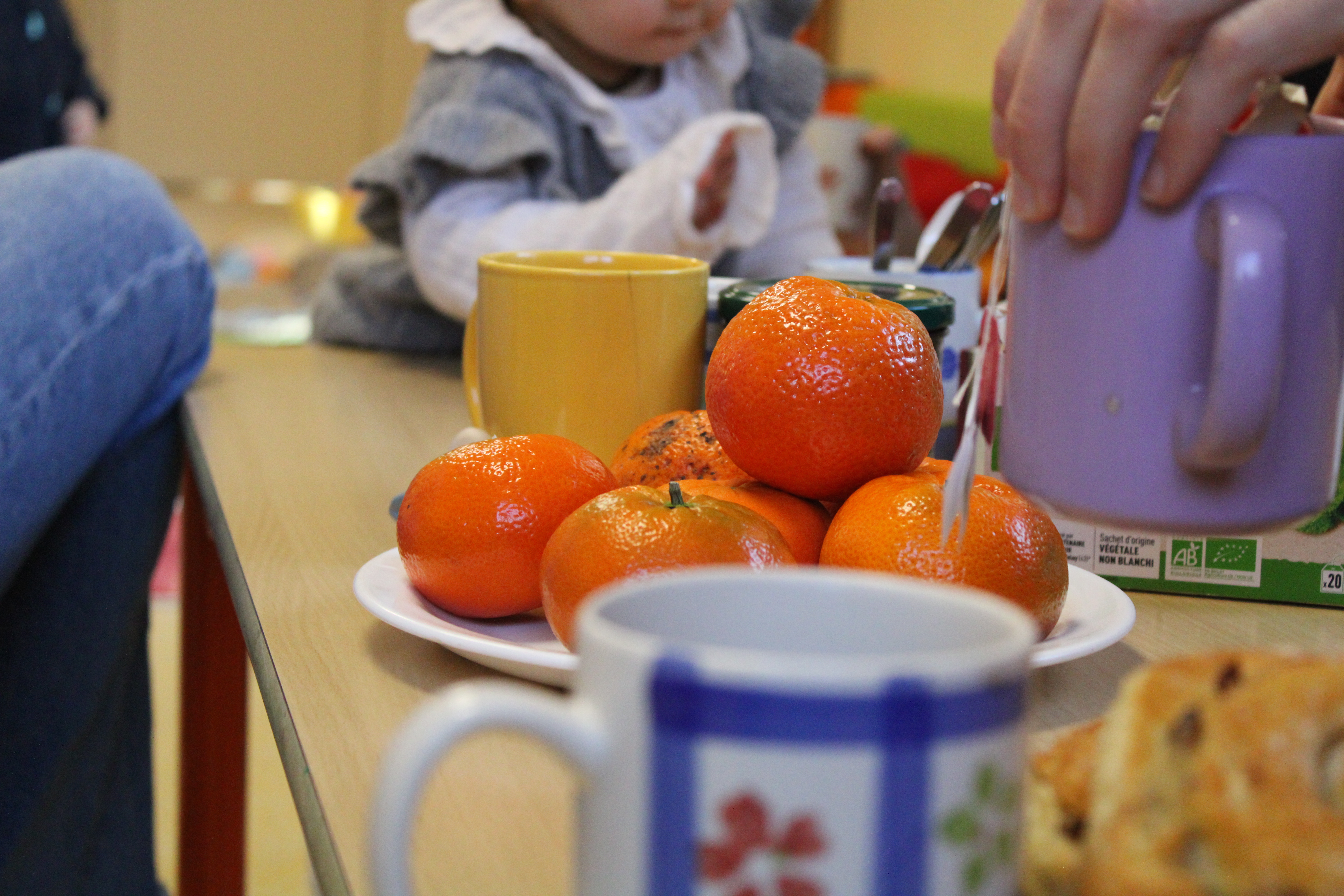 Clôture Parent_hèses _4_.JPG