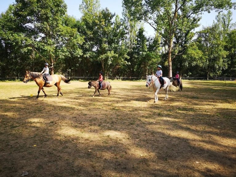 miramont-de-guyenne-manege-chevaux-768x576.jpg