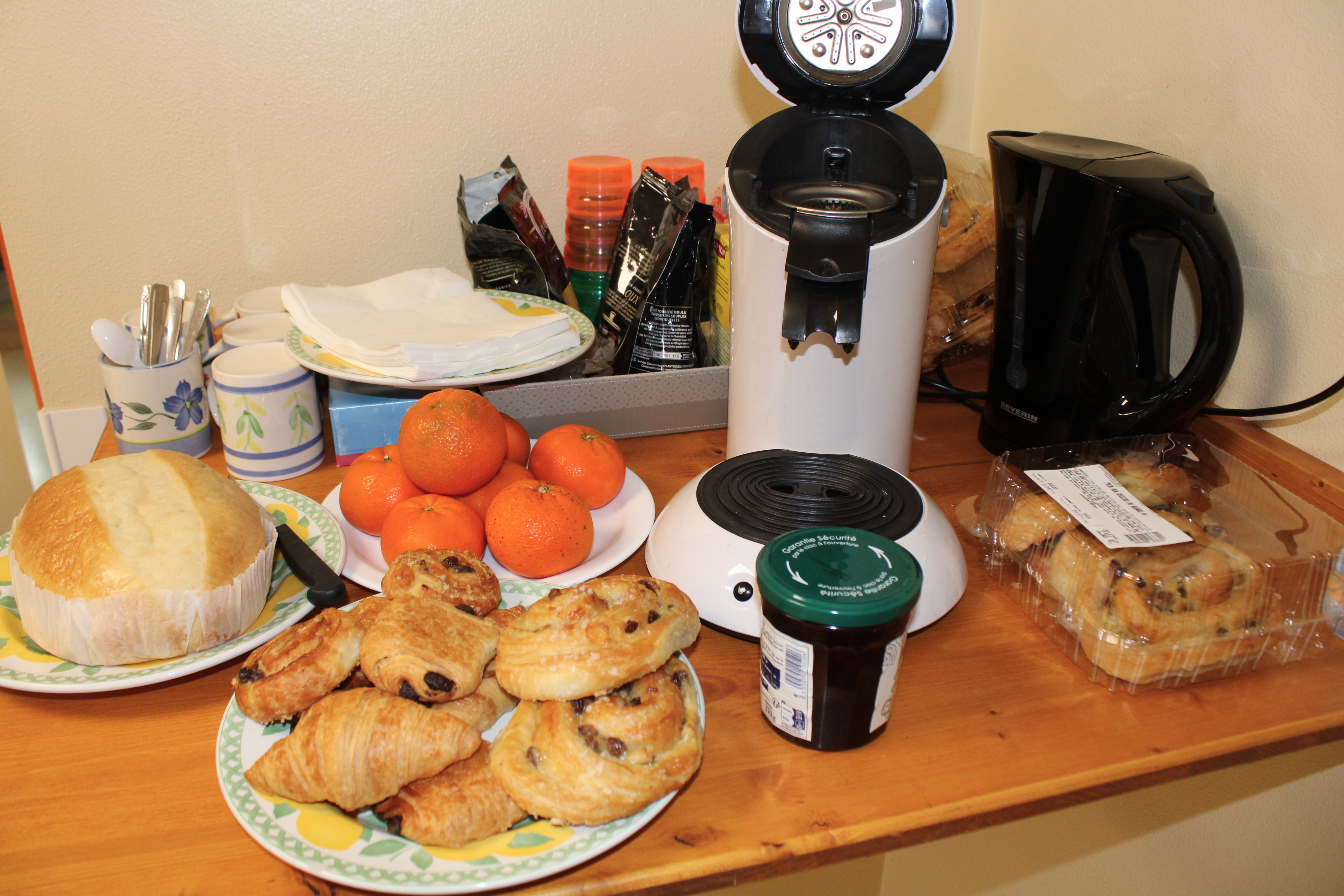 Clôture Parent_hèses _1_.JPG