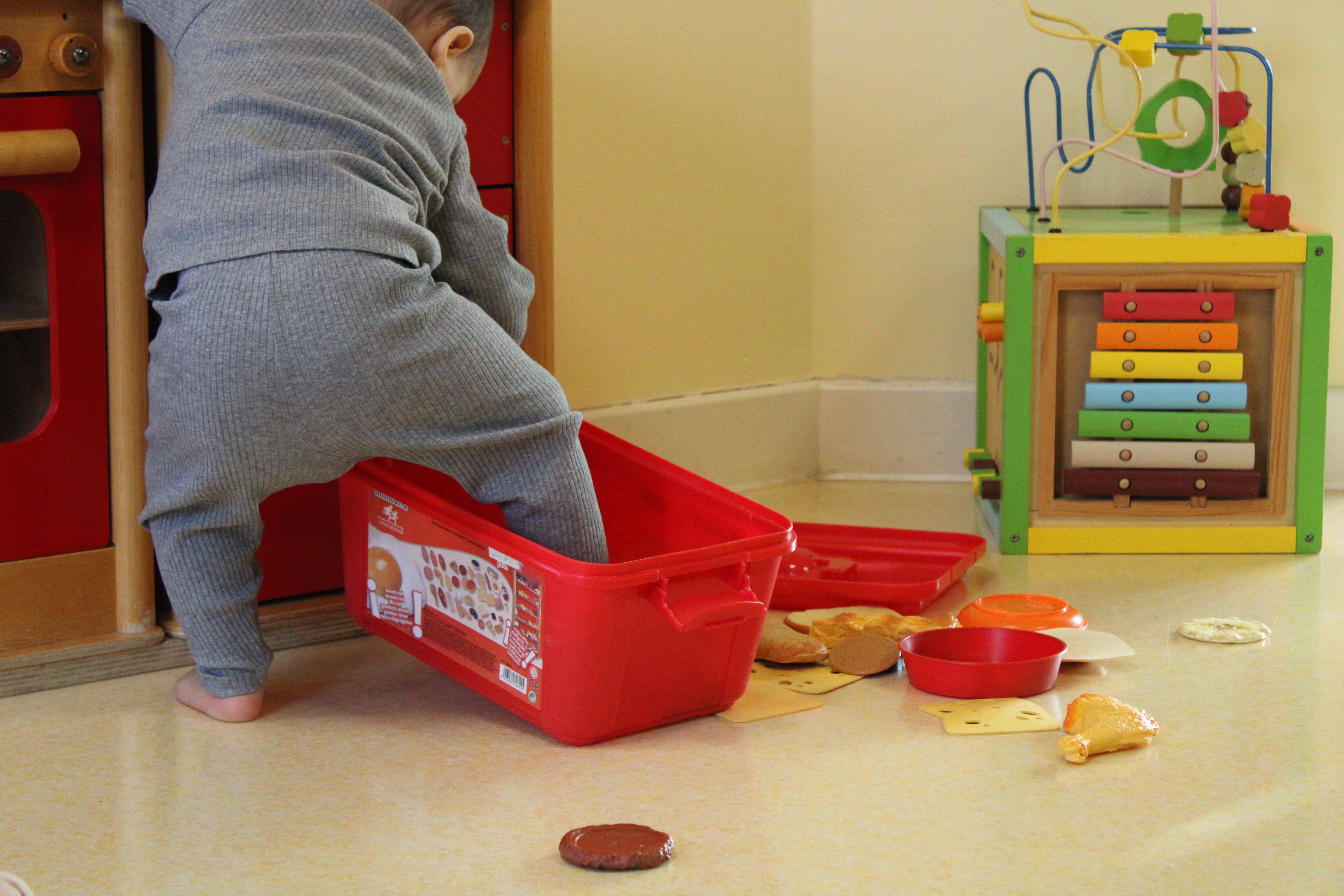 Clôture Parent_hèses _20_.JPG