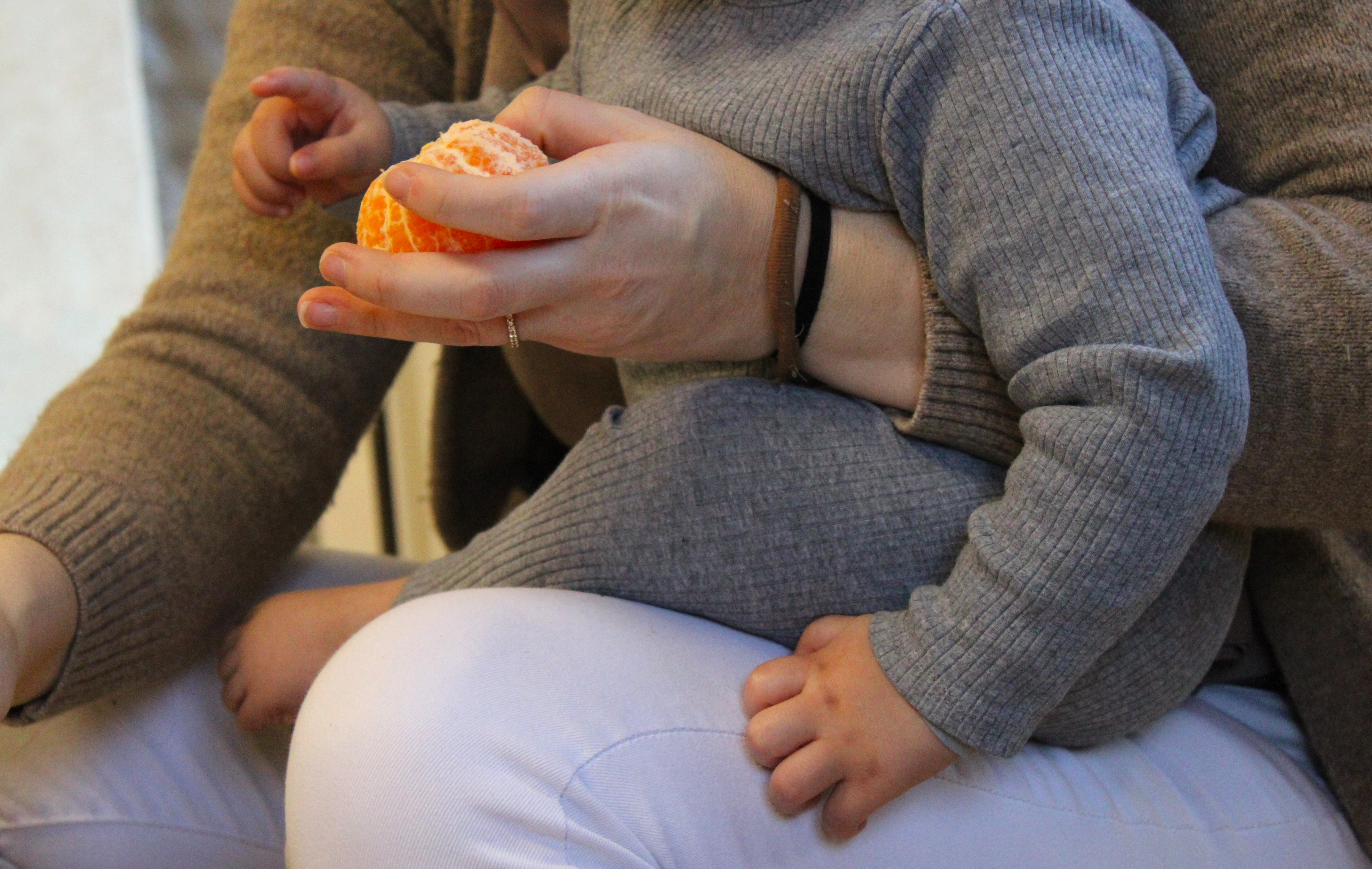 Clôture Parent_hèses _5_.JPG