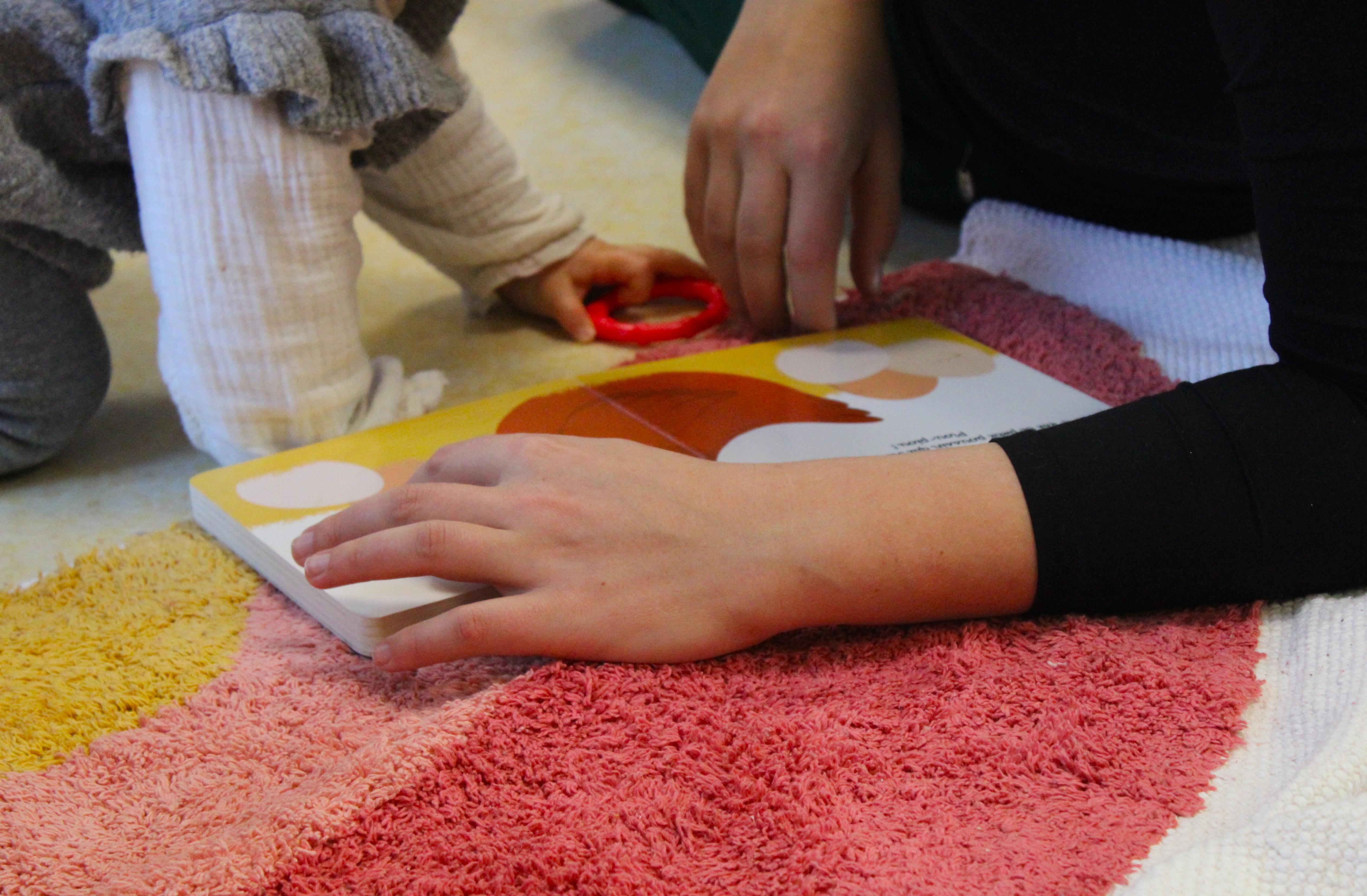 Clôture Parent_hèses _16_.JPG