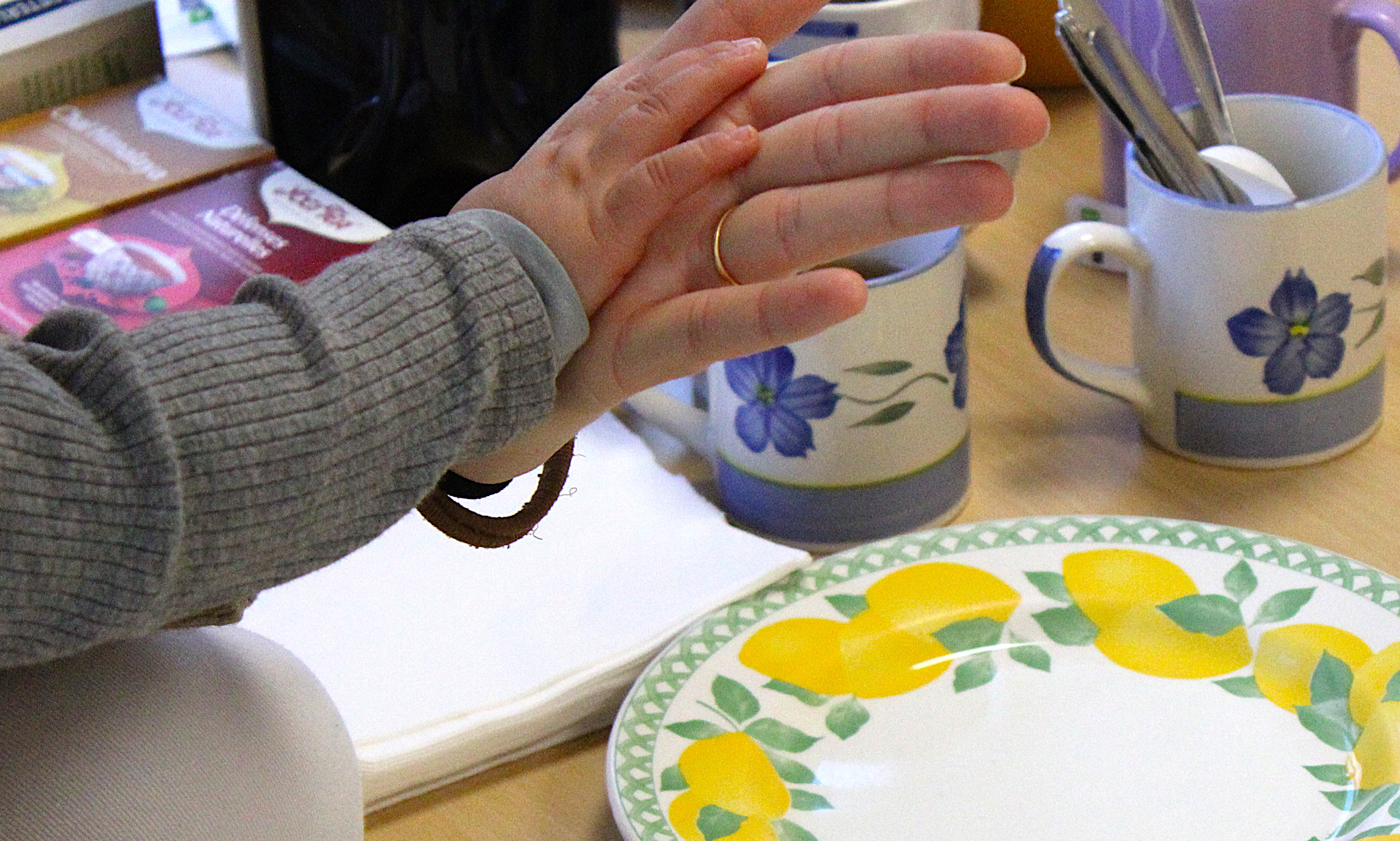 Clôture Parent_hèses _2_.JPG