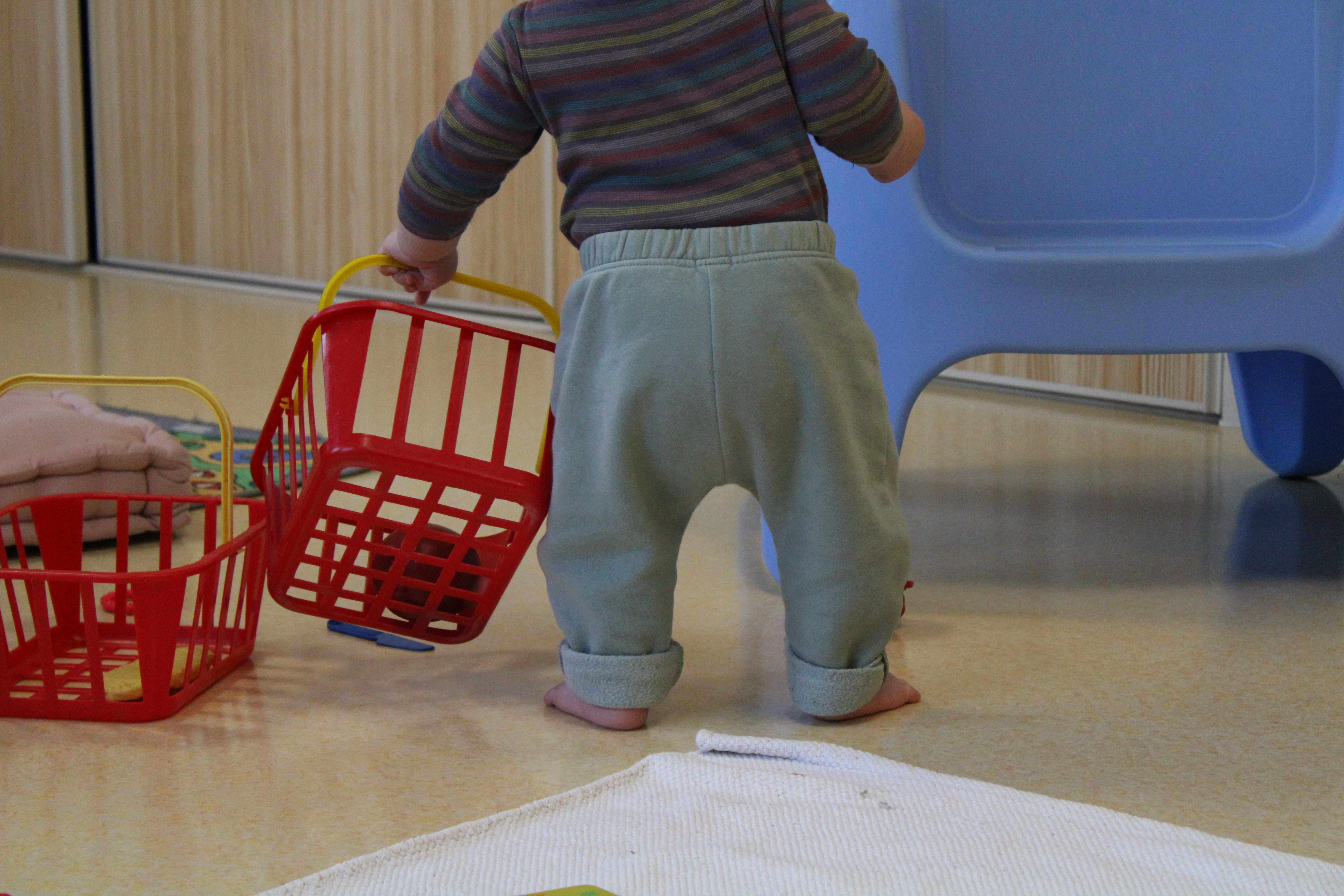 Clôture Parent_hèses _19_.JPG