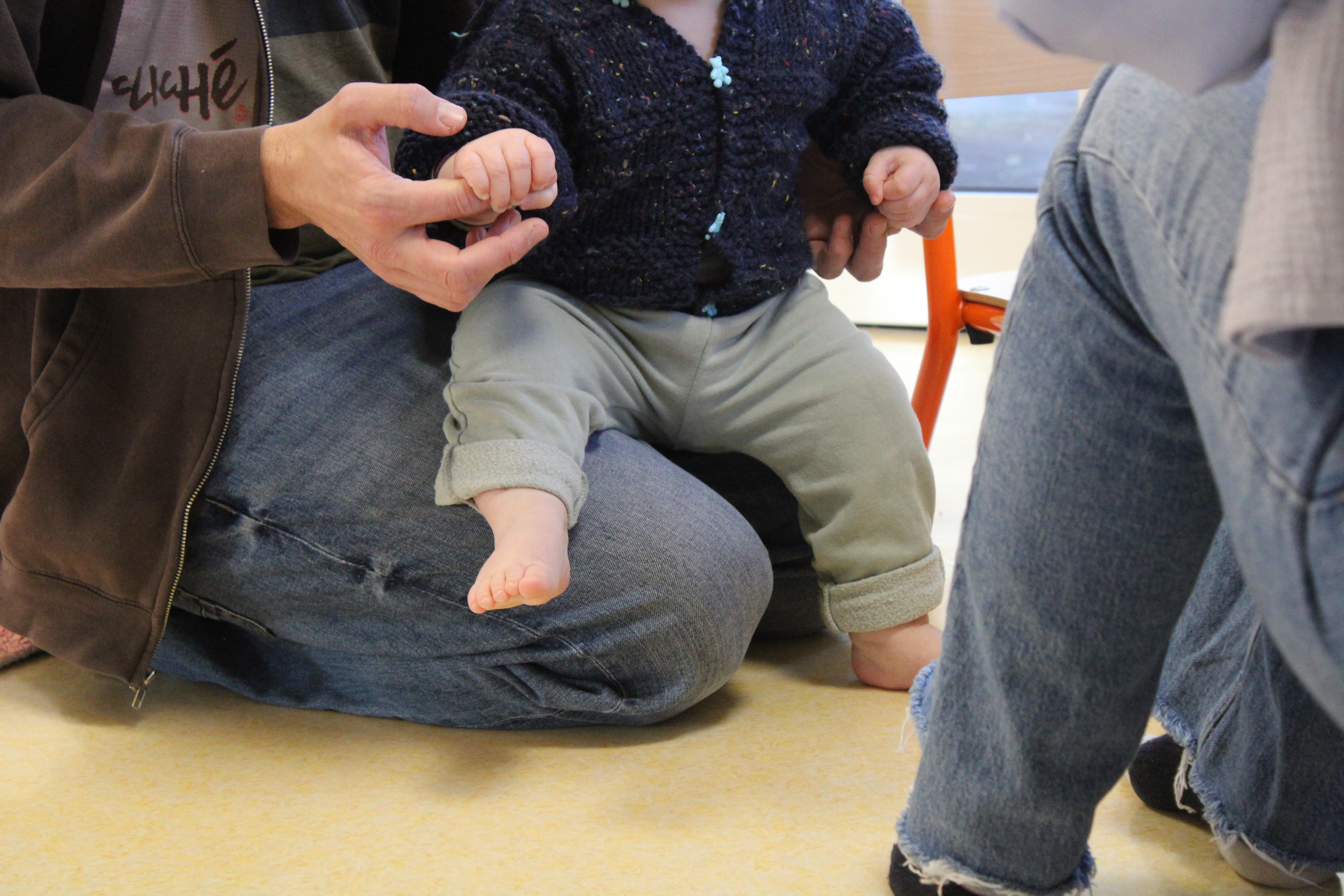 Clôture Parent_hèses _12_.JPG