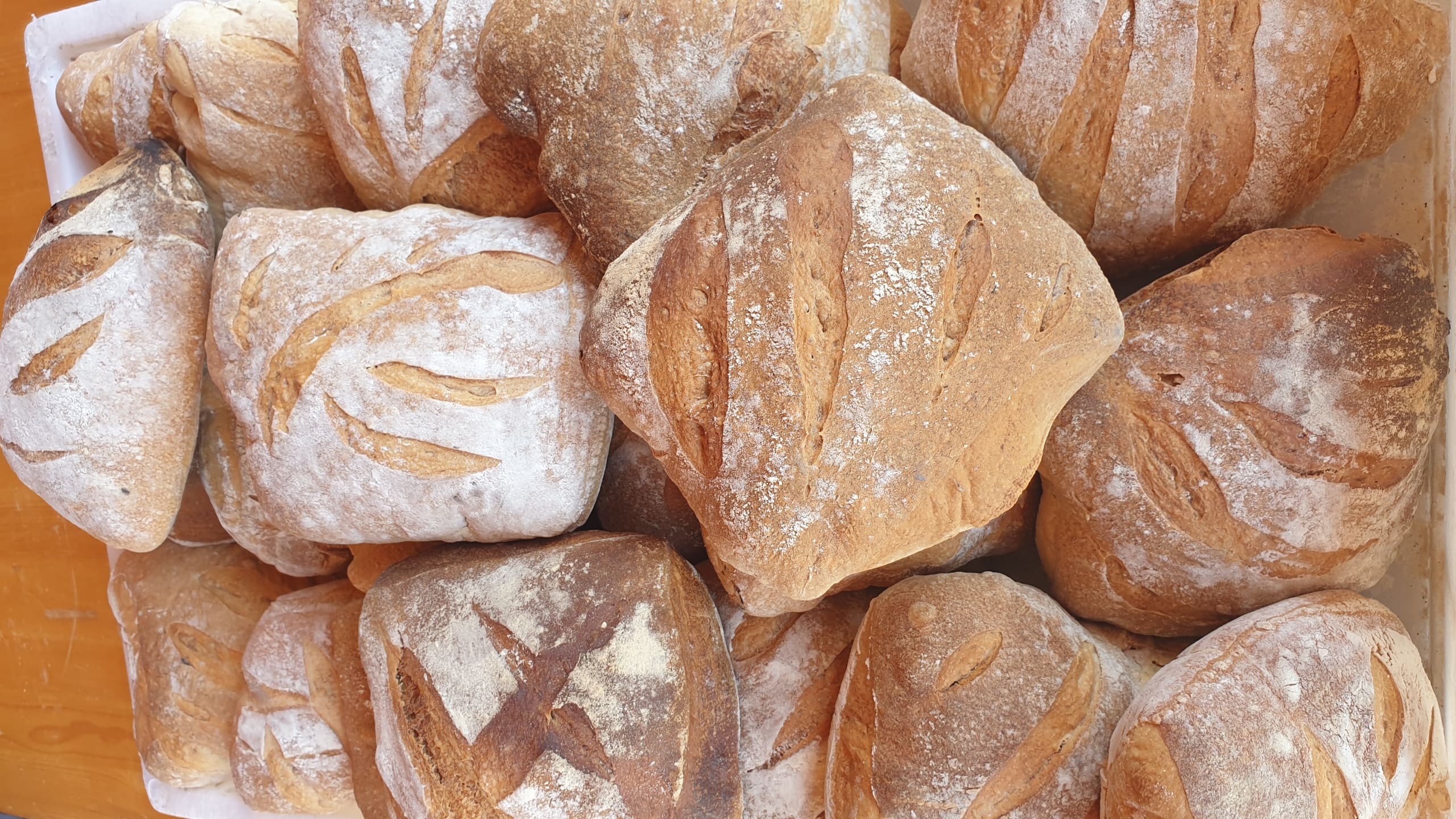 2025-05-18 10.48.52.jpg