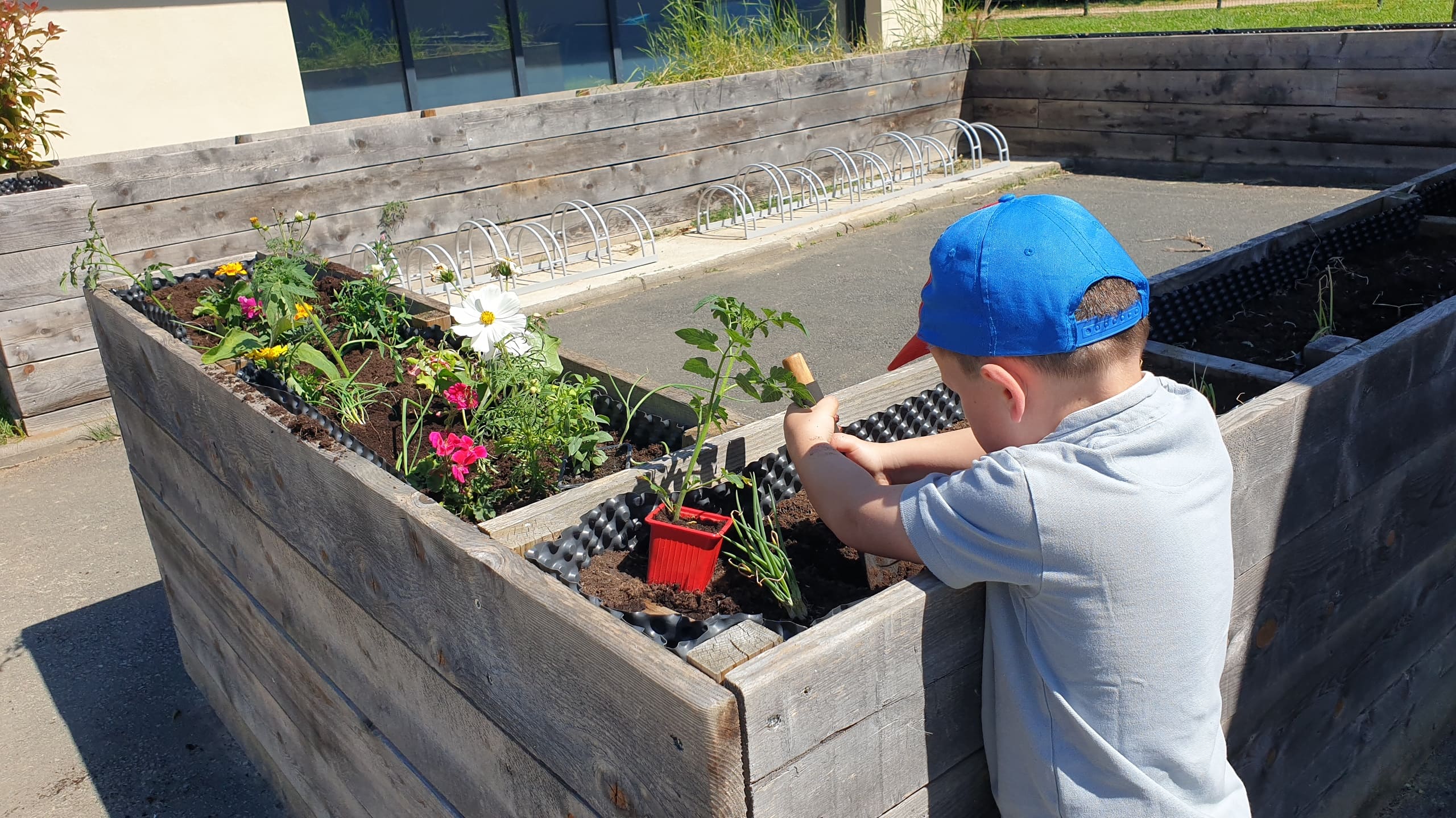 2025-05-18 11.55.38.jpg