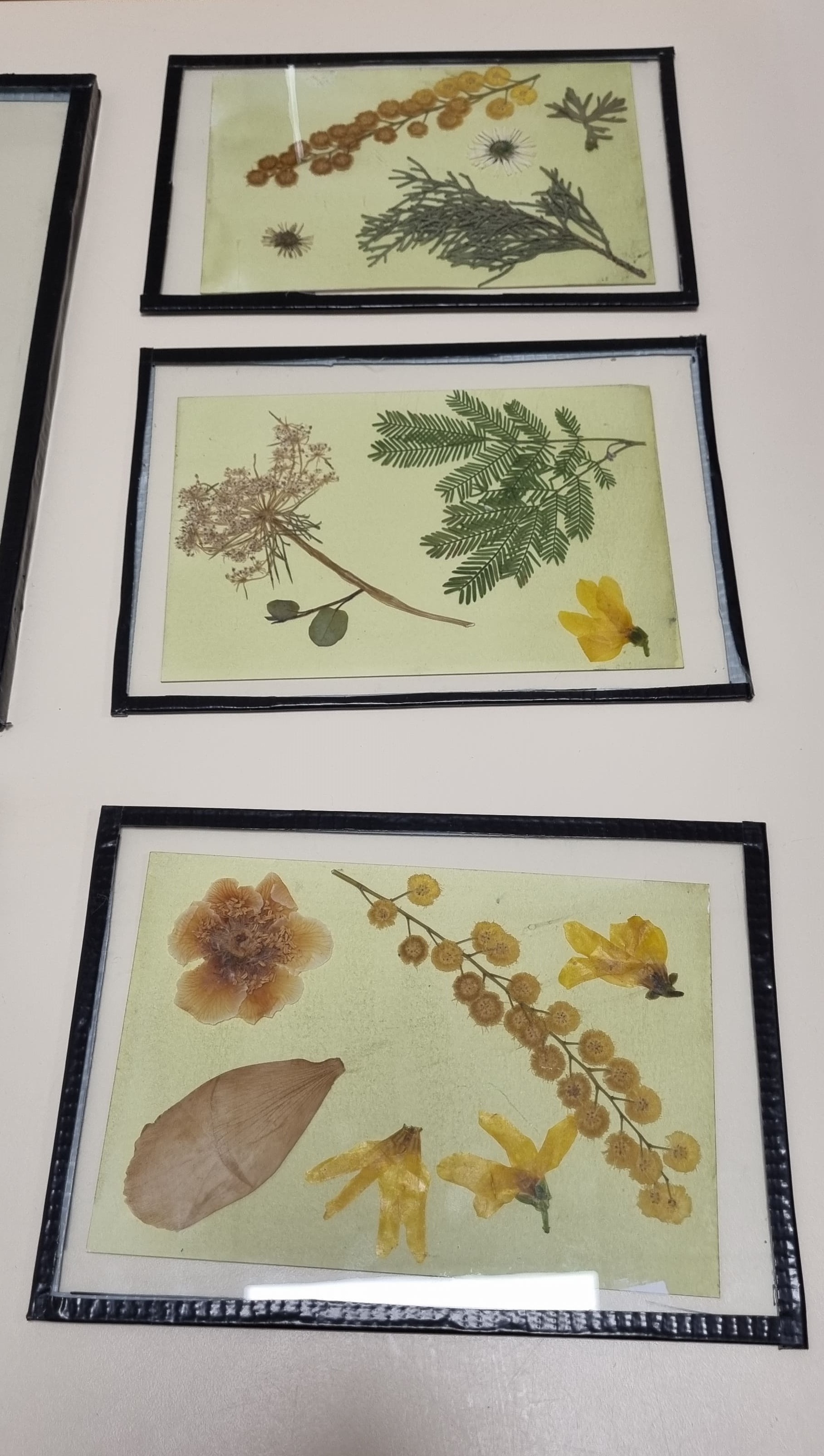 Atelier cyanotype 1.jpg