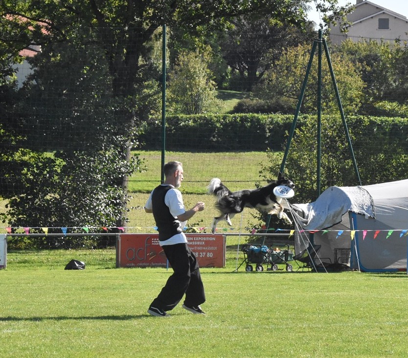 saut.jpg
