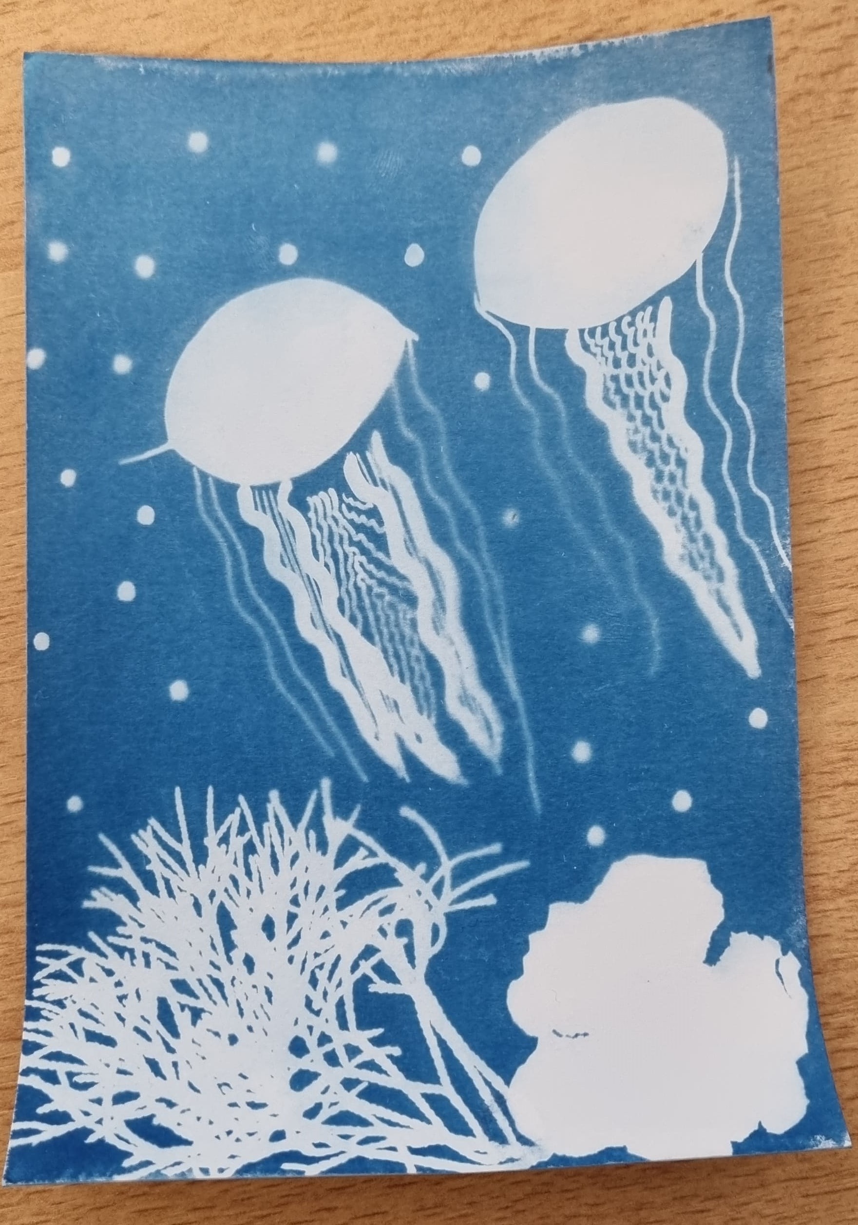 Atelier cyanotype 3.jpg