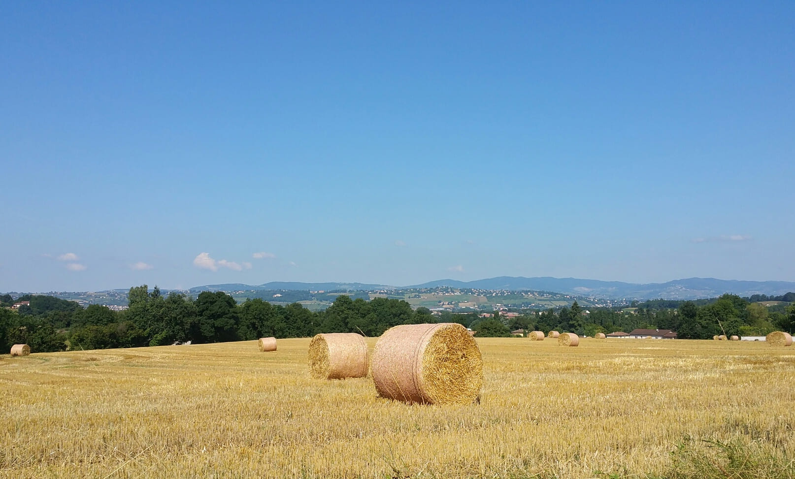 2018-07-07 14.00.46.jpg