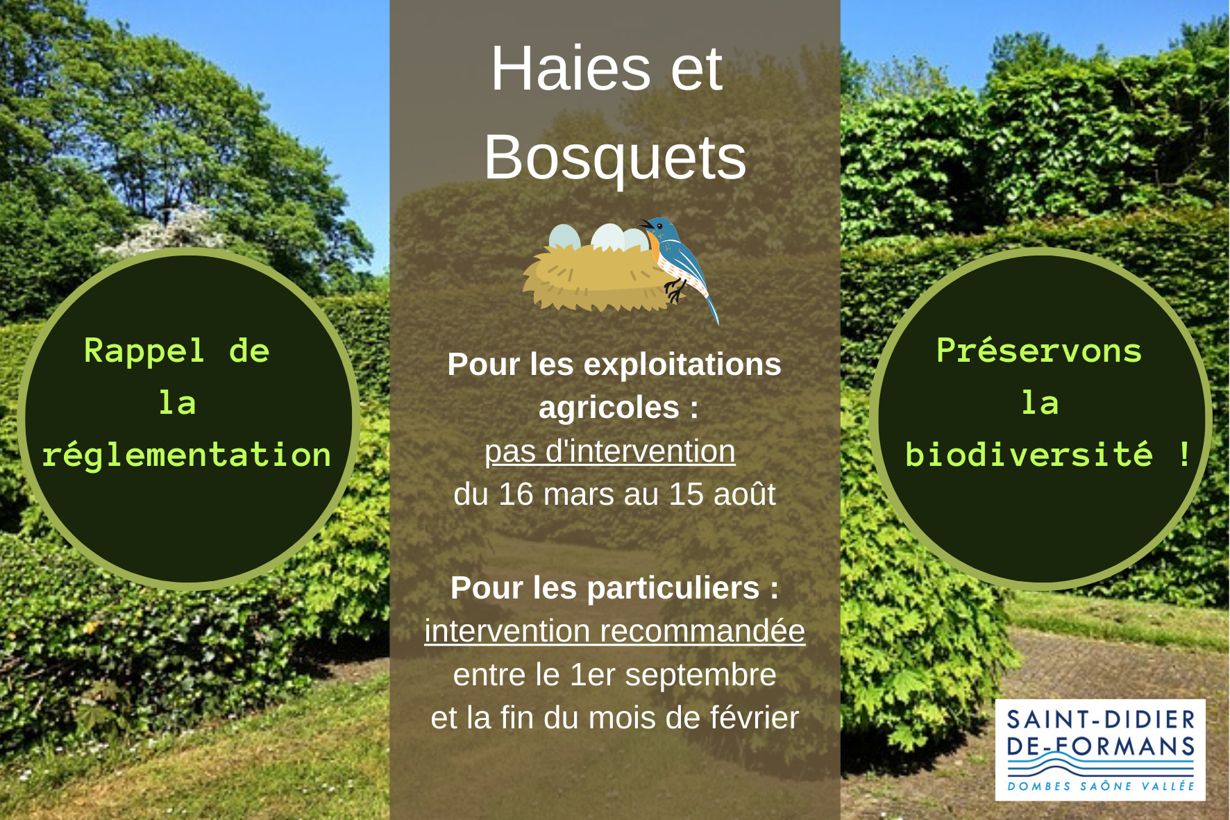 Haies et Bosquets _1_.png