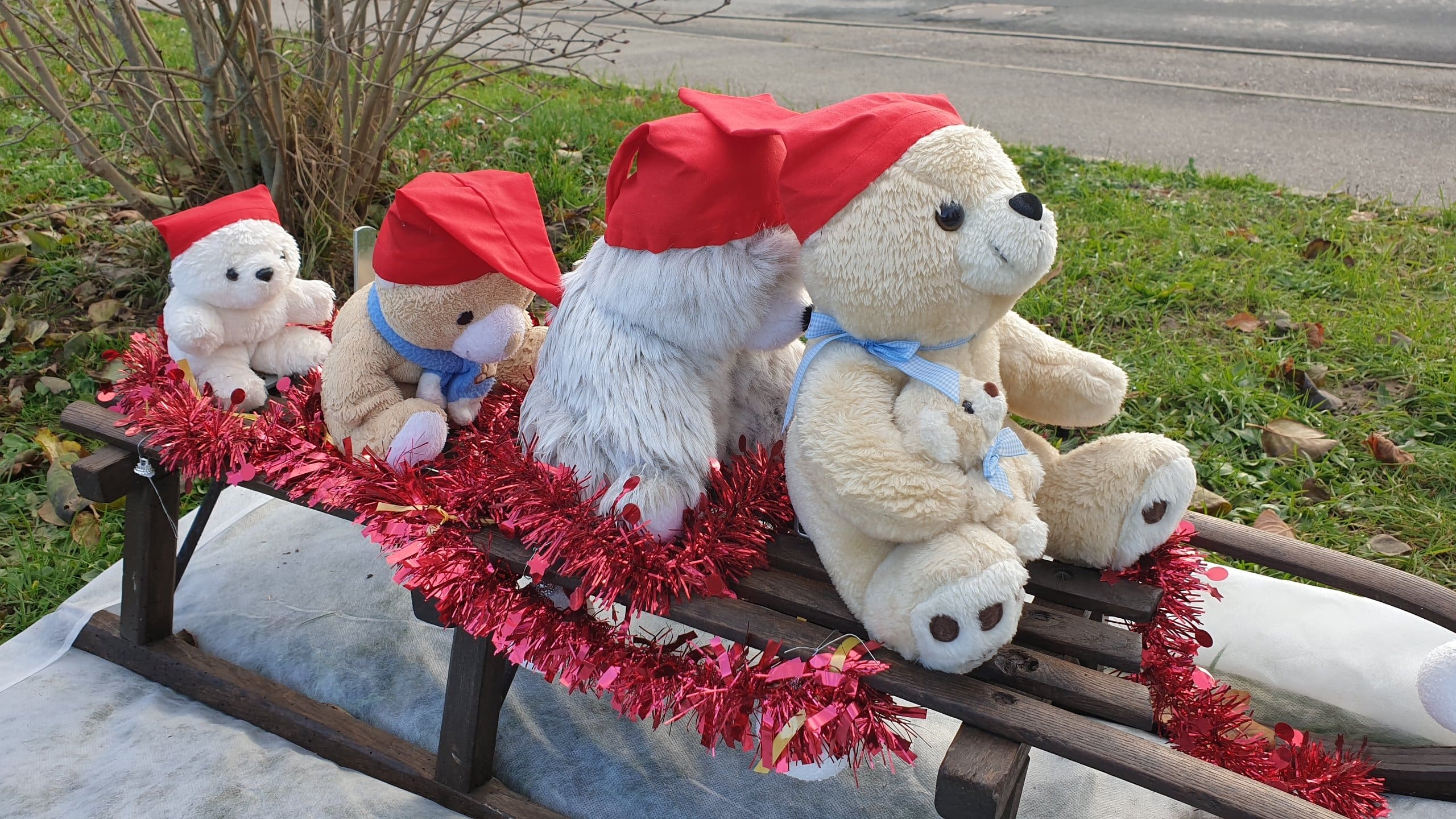 2021-12-11 15.26.09.jpg