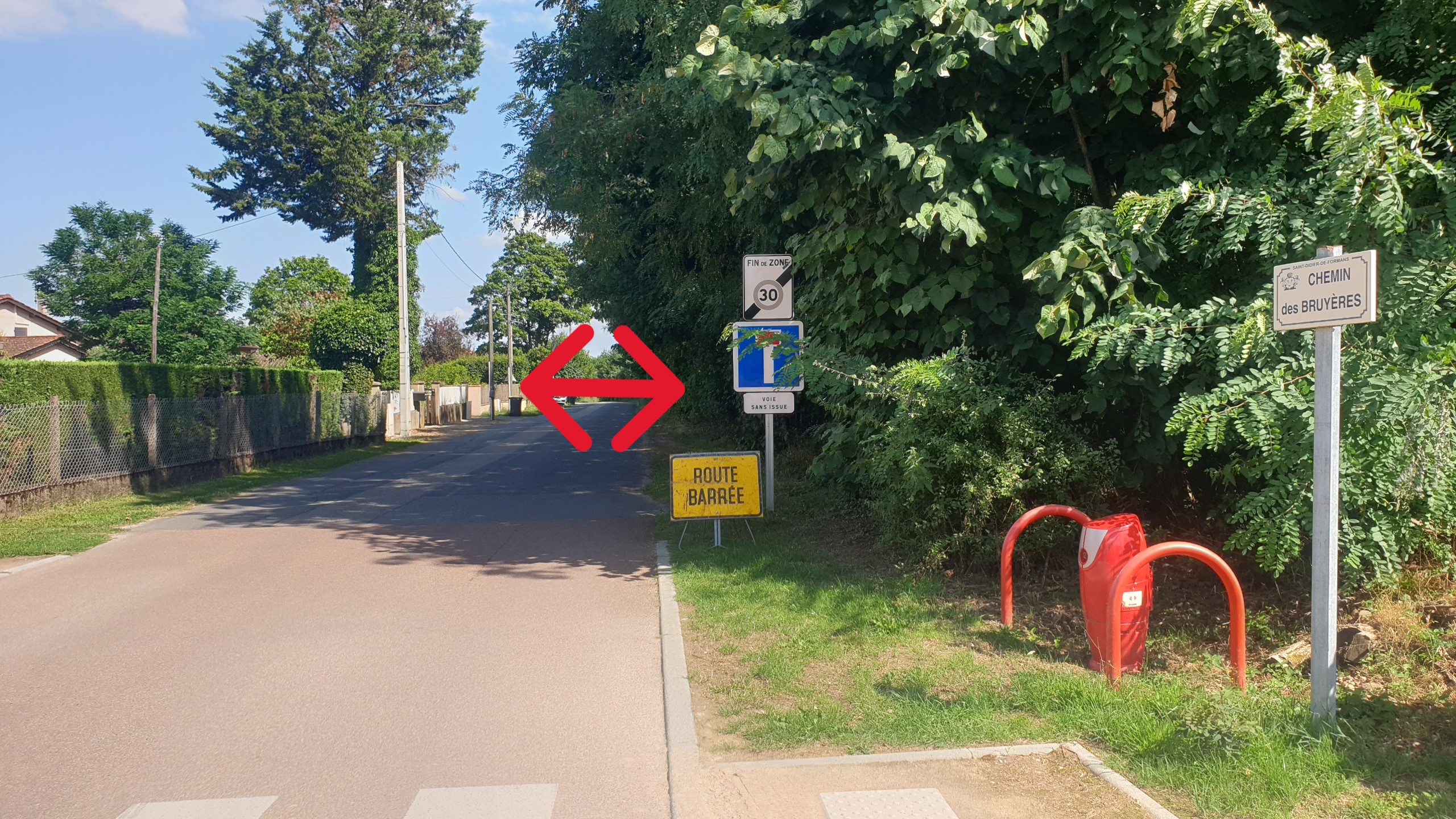 2025-07-29 16.29.54.jpg