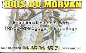 bois du morvan elagage.jpg