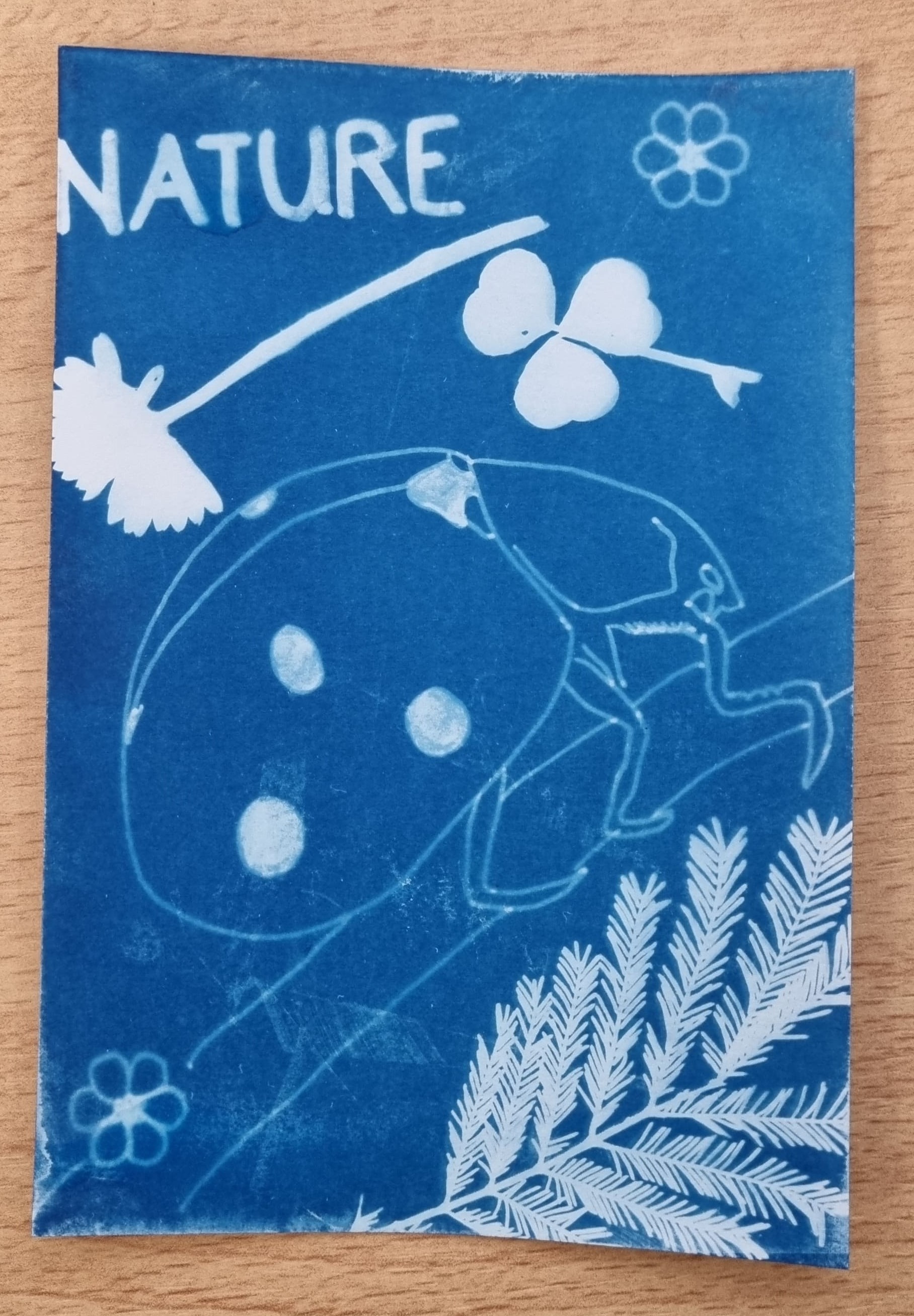 Atelier cyanotype 5.jpg