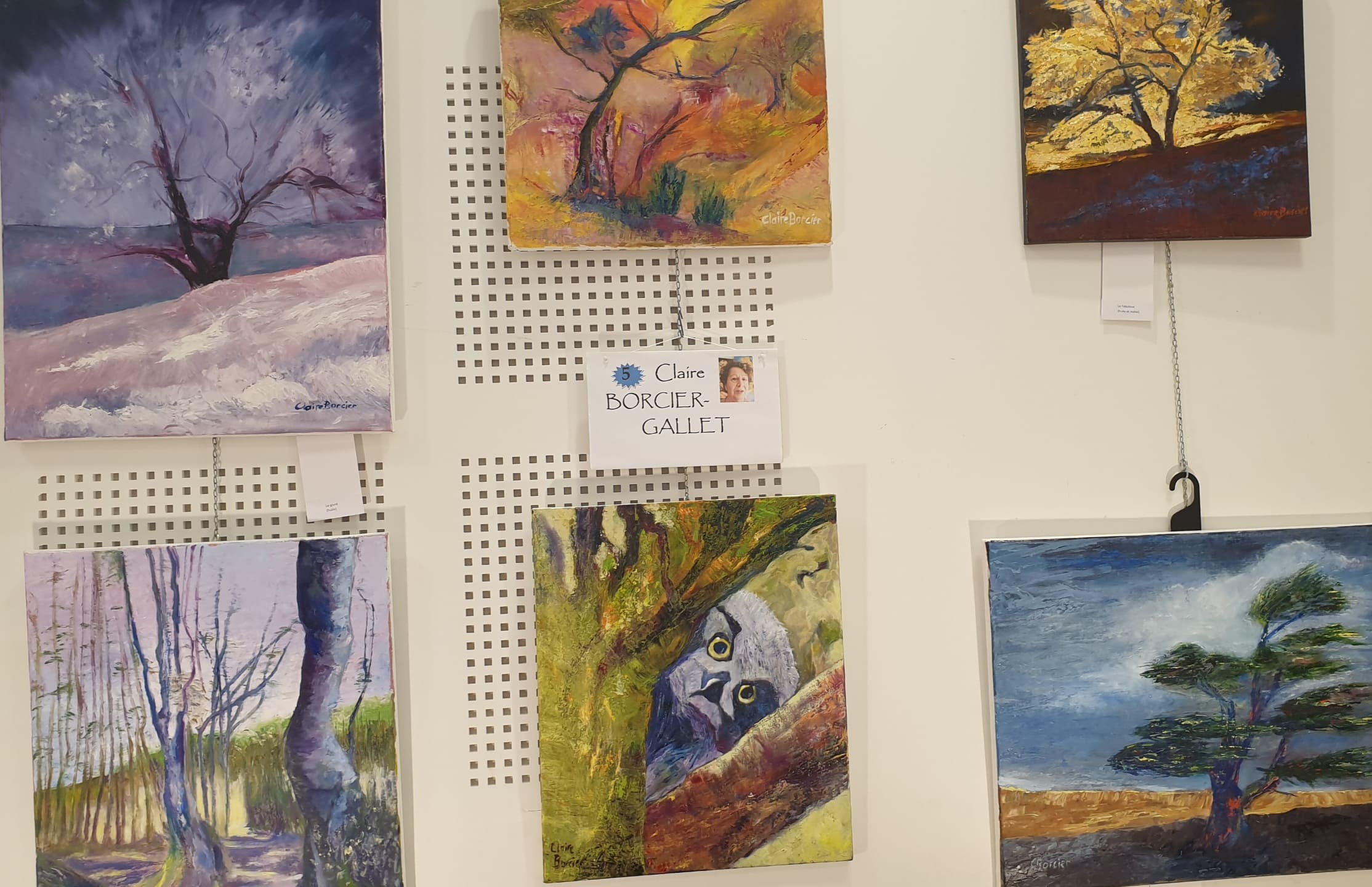 2026-03-01 12.34.20-1.jpg