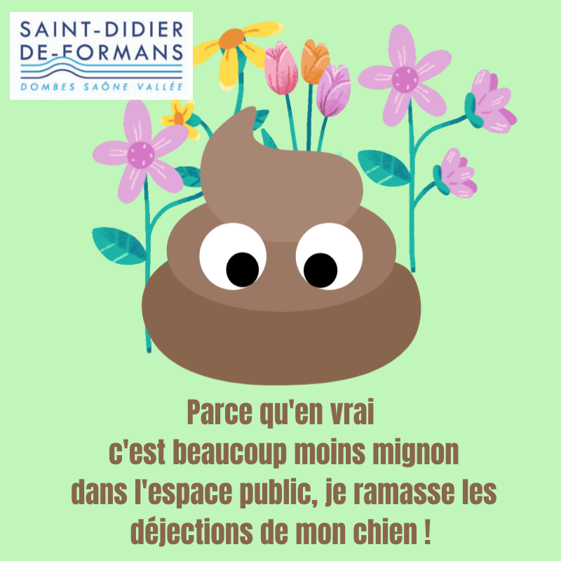 affiche déjection canines