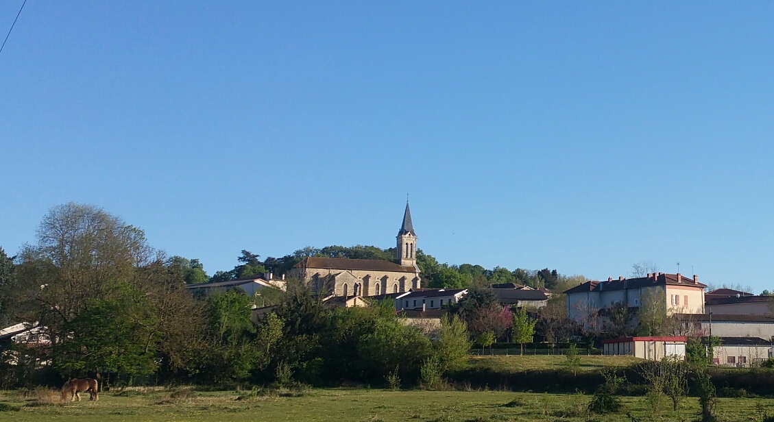 2020-04-14 19.01.22-2.jpg