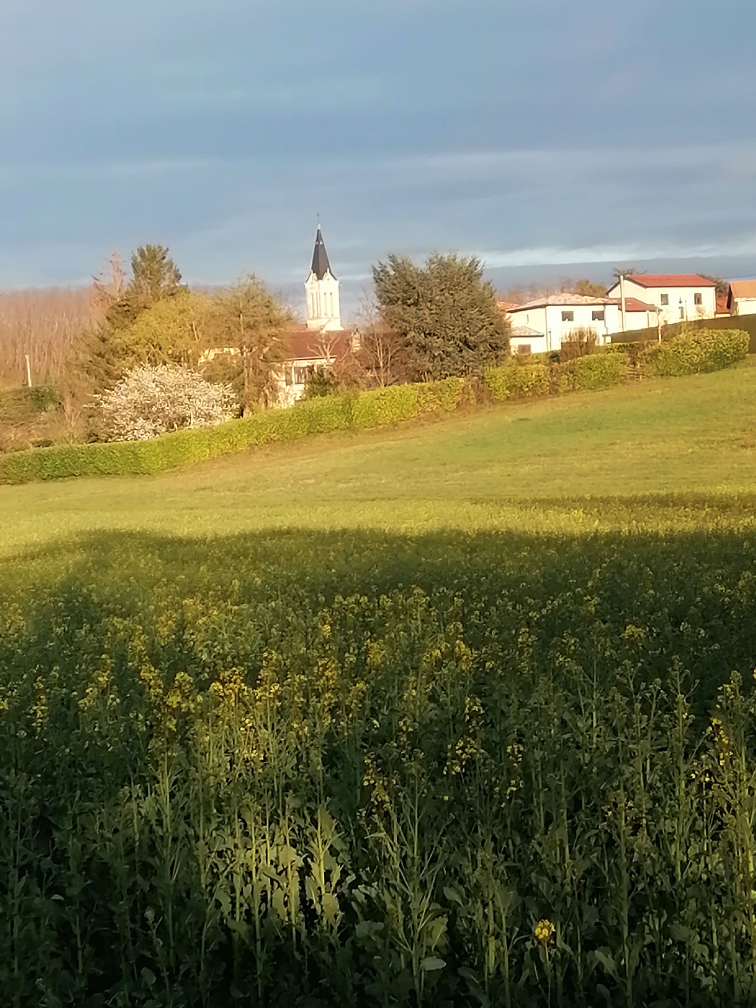 Le rayonnement du soleil sur St Didier de Formans CREYX Gulhan _2_.jpeg