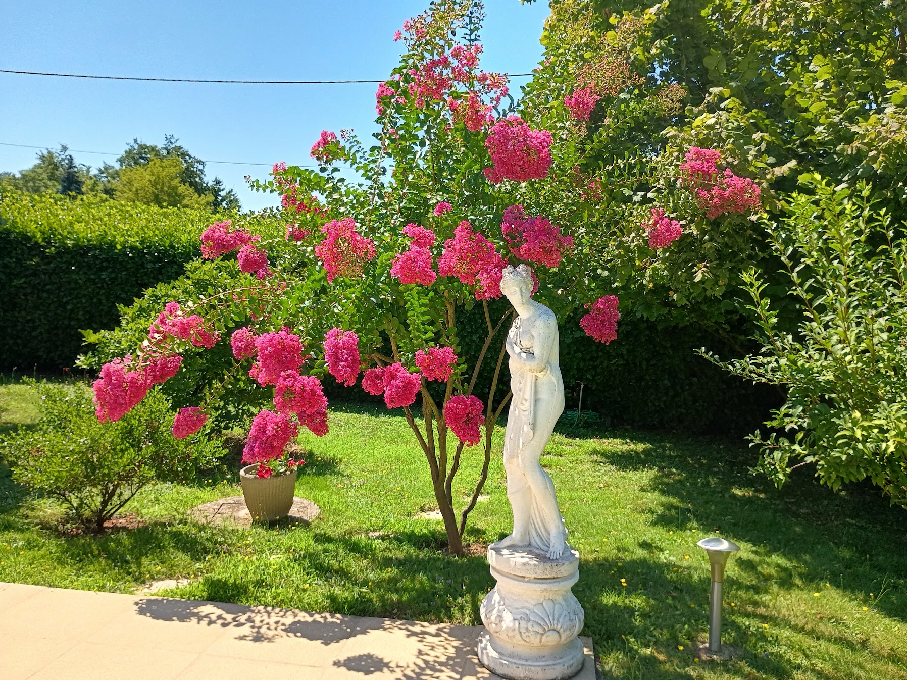 baigneuse à l_ombre d_un lilas de chine_Jocelyne_Colin.jpg