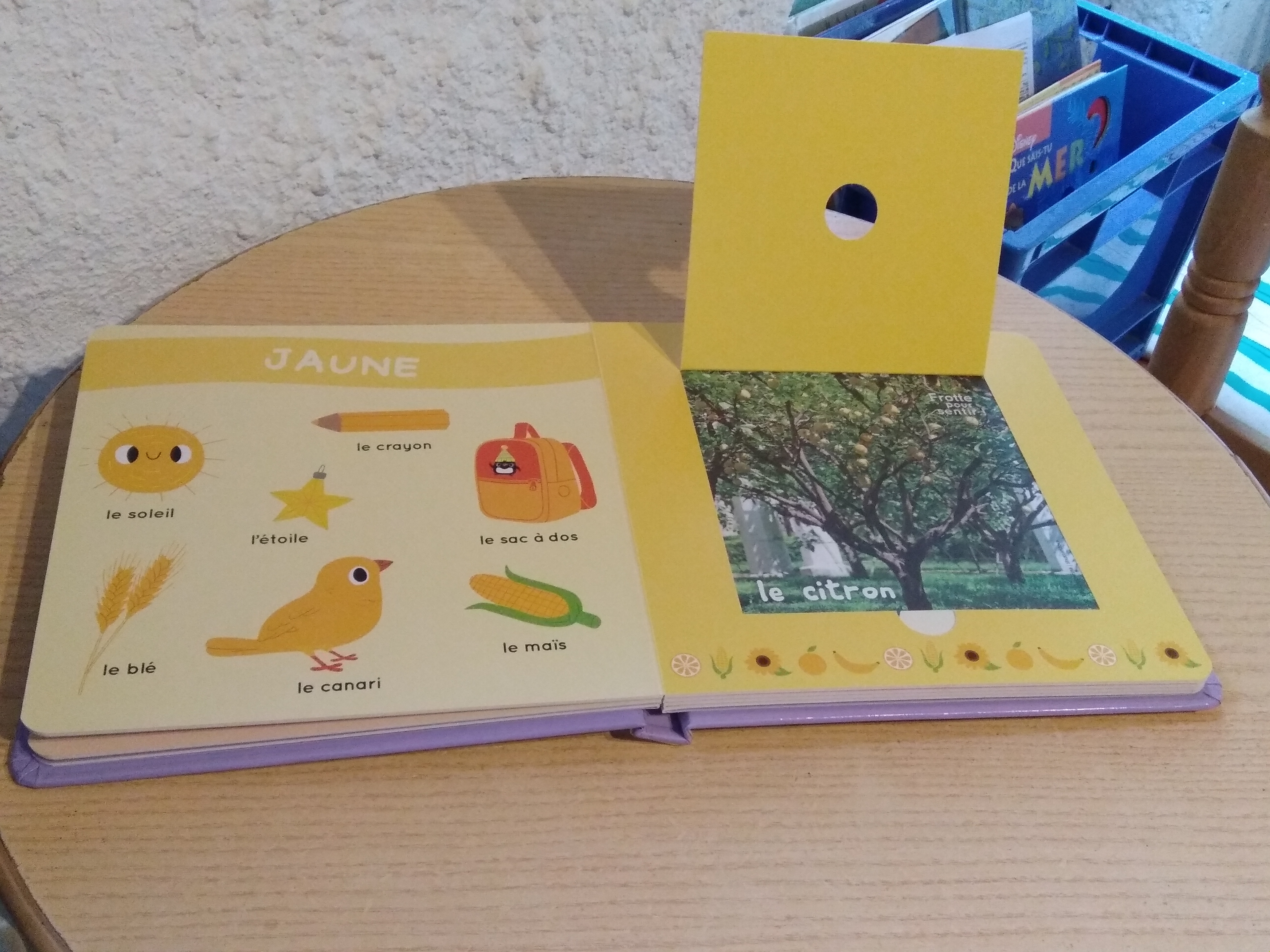 livre des odeurs et des couleurs.jpg