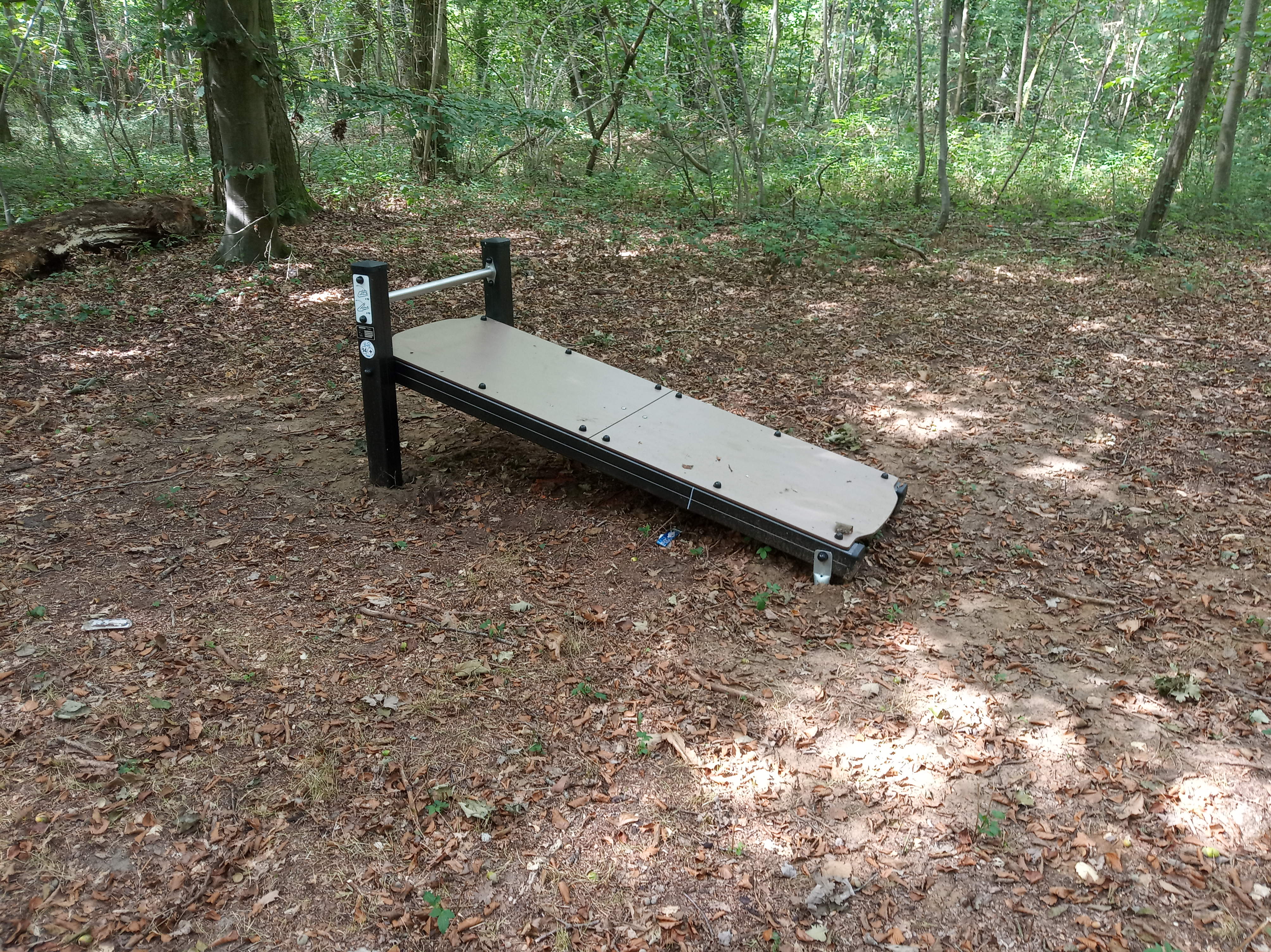 Bois du Larris - allongé.jpg