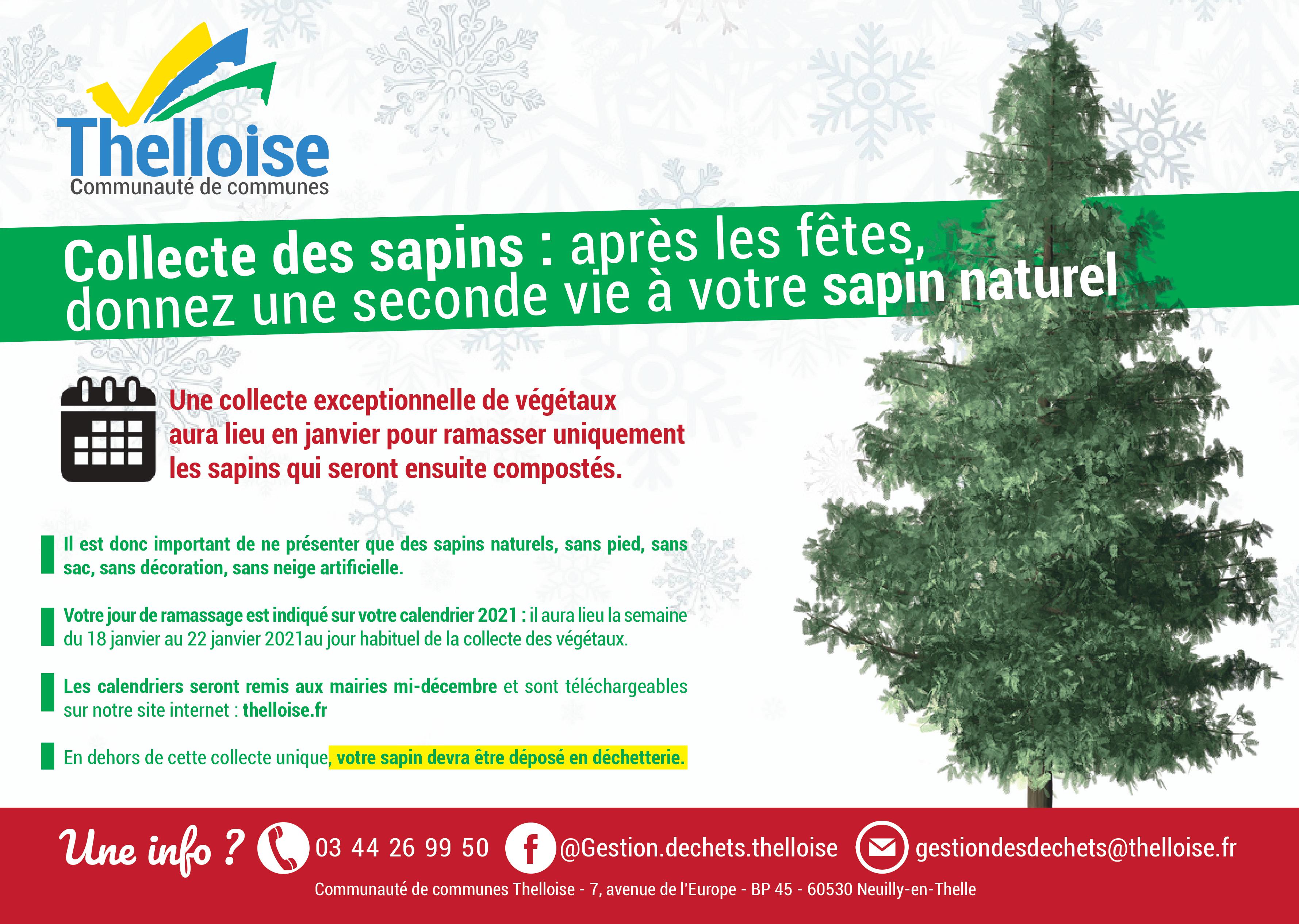 collecte sapin 2021.jpg