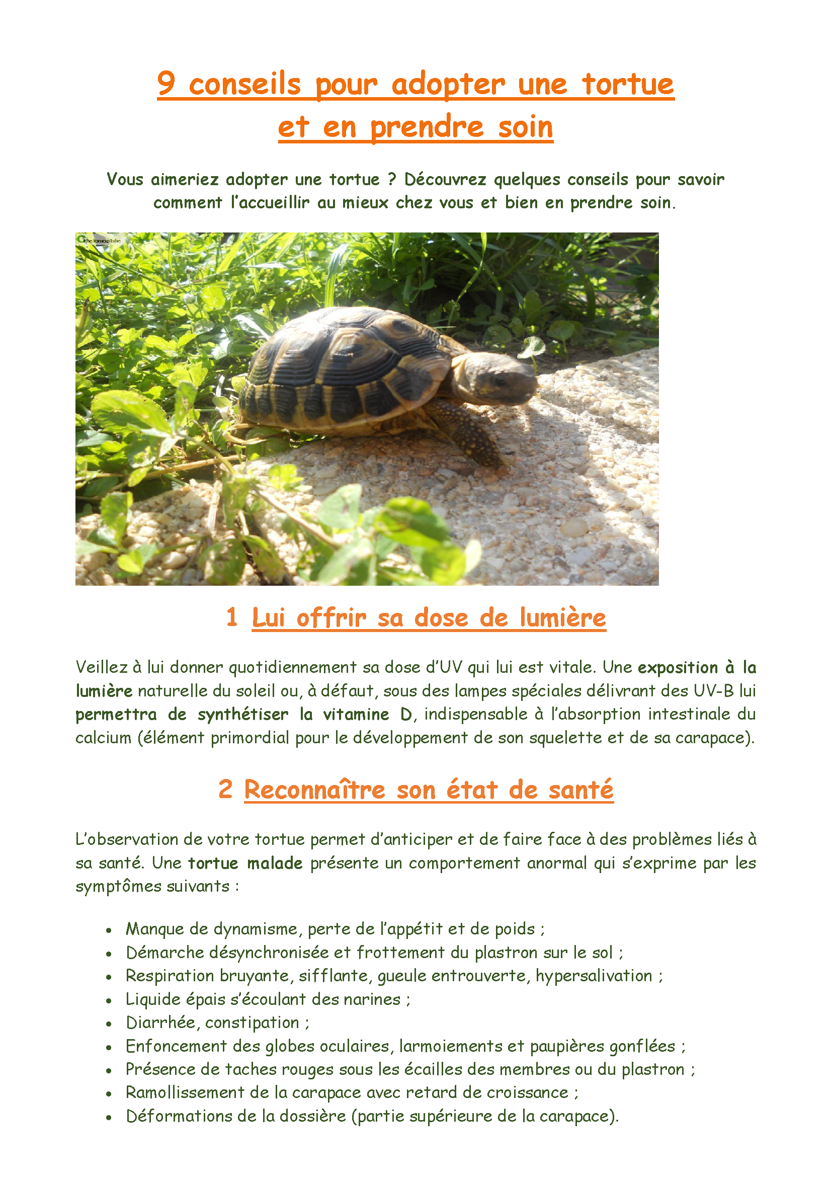 Prendre soin de ma Tortue - Nathalie Galindo_Page_1.png