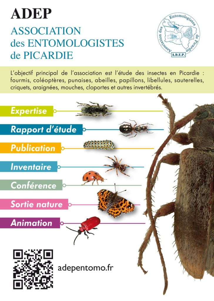 FLYER-ADEPrecto-728x1024.jpg