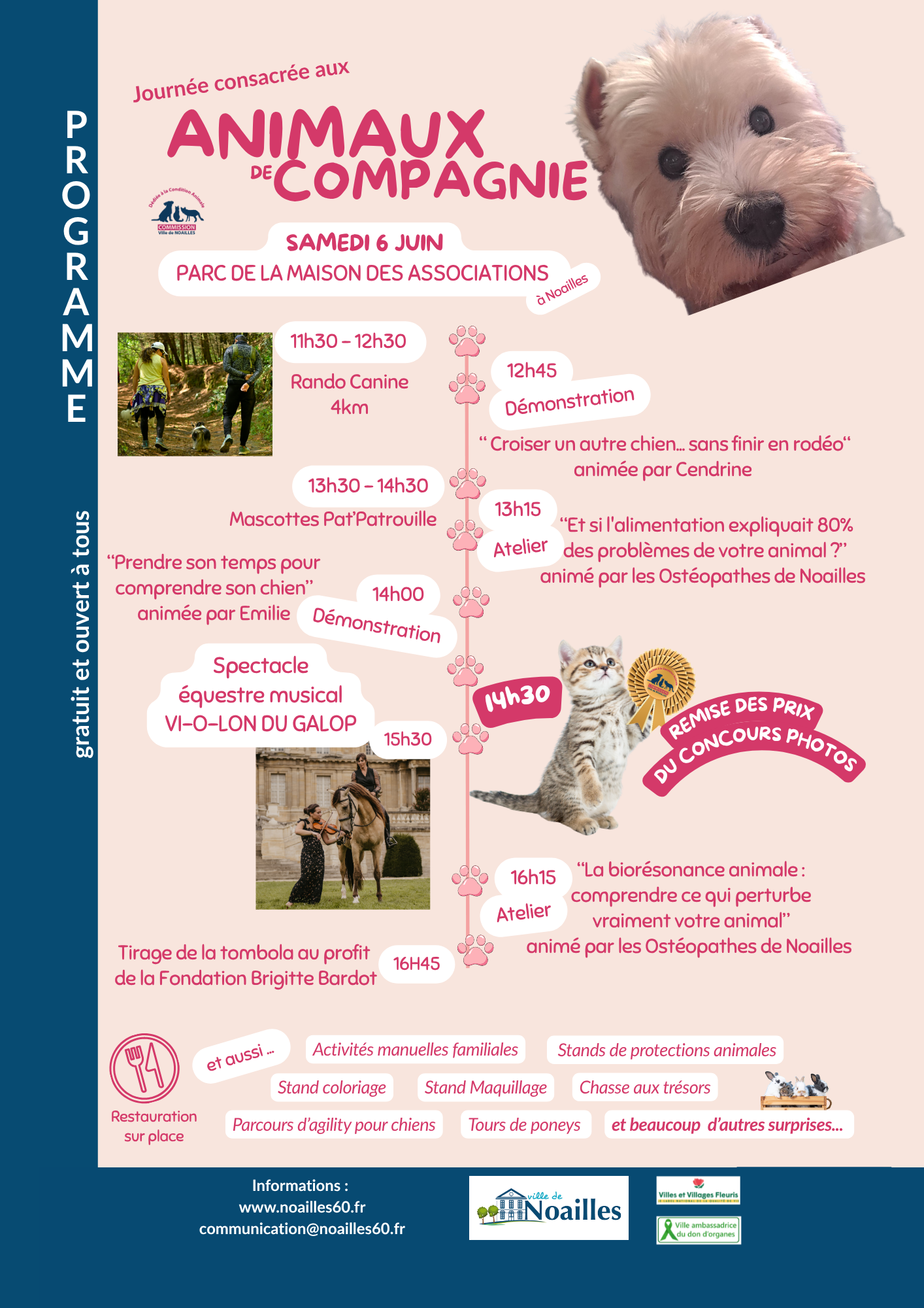 Rose Illustré Programme Octobre Rose Femmes Affiche.png