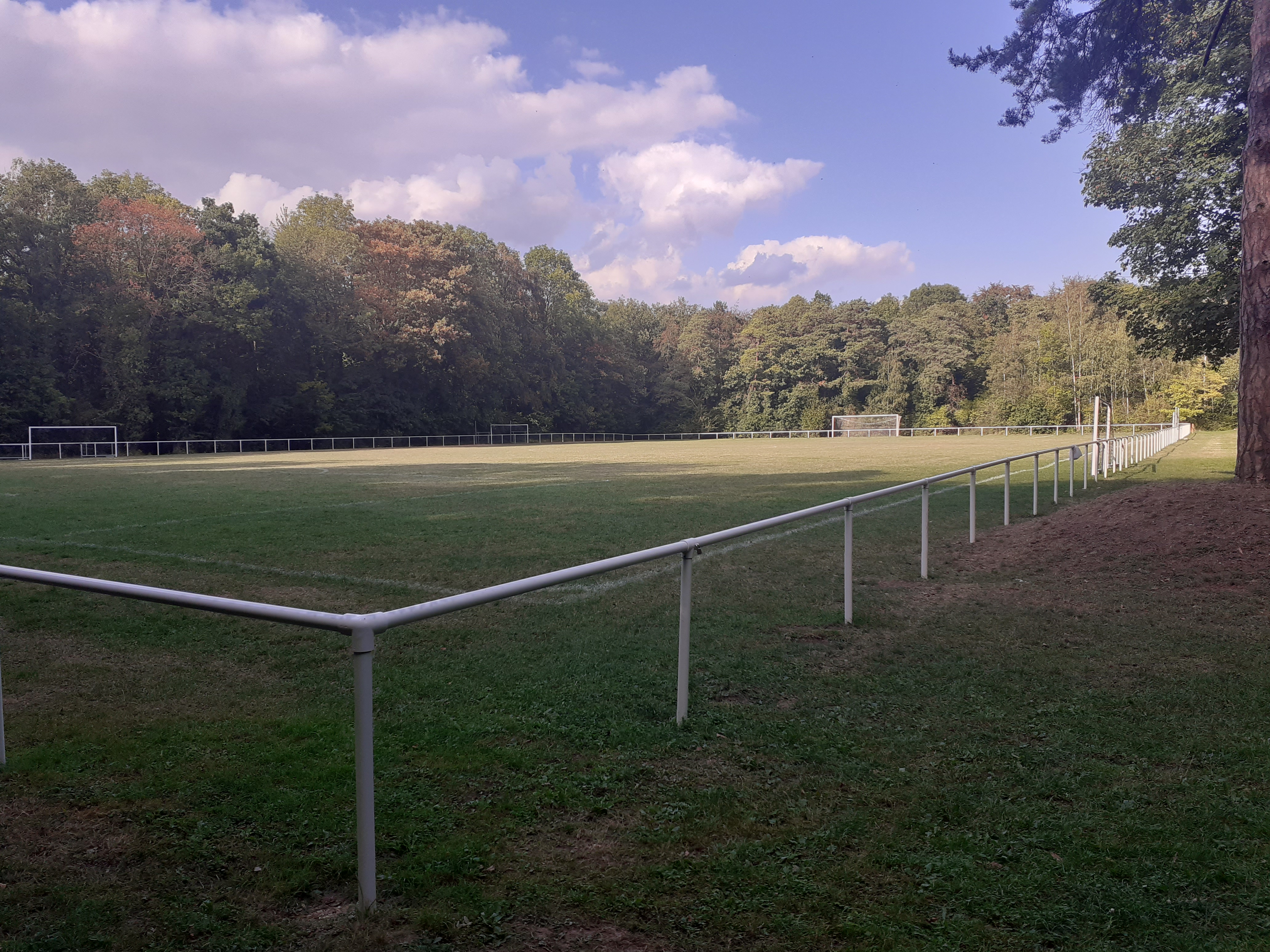 Bois du Larris - Stade 20200910_171330.jpg