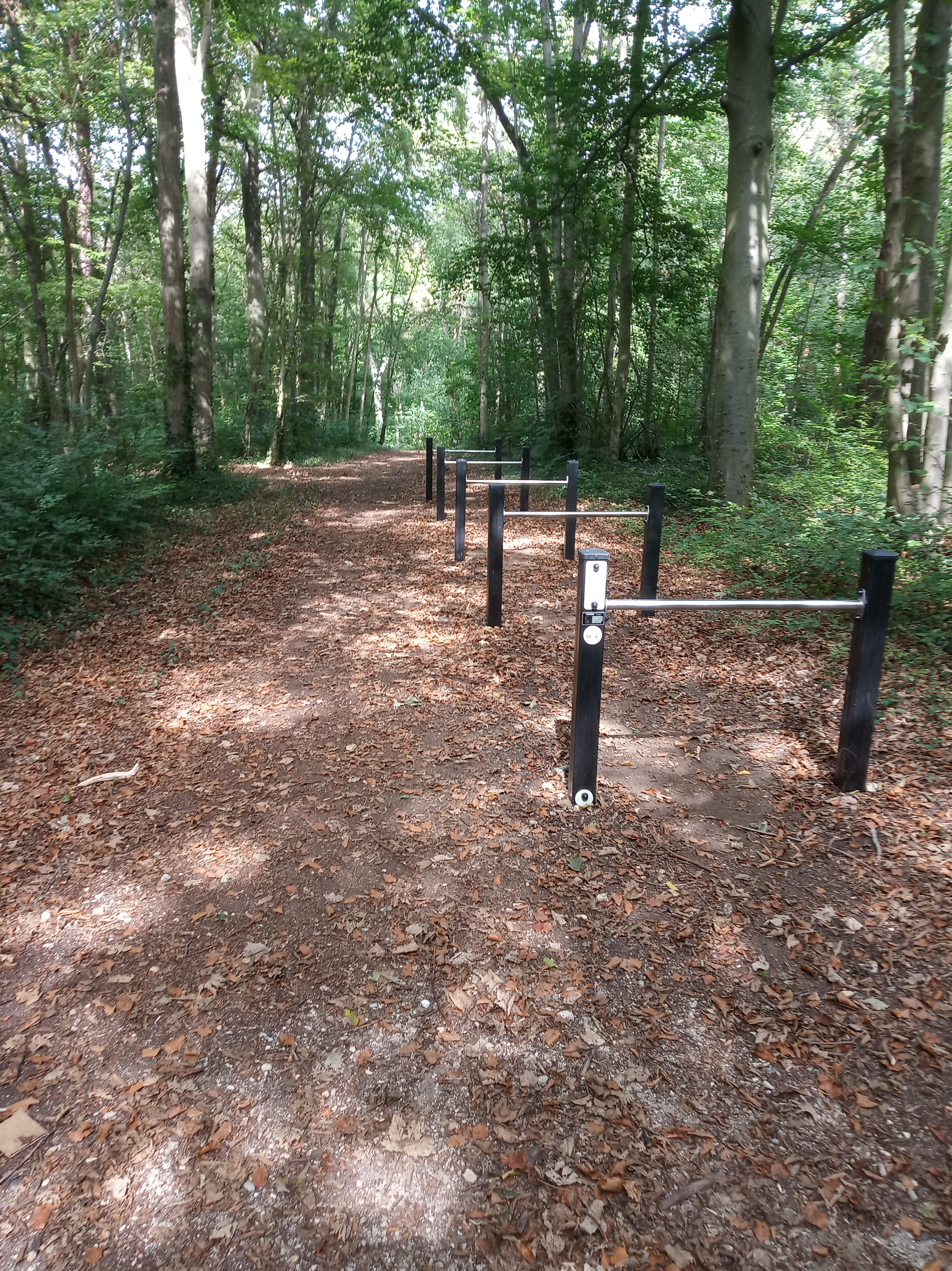 Bois du Larris - Haies.jpg