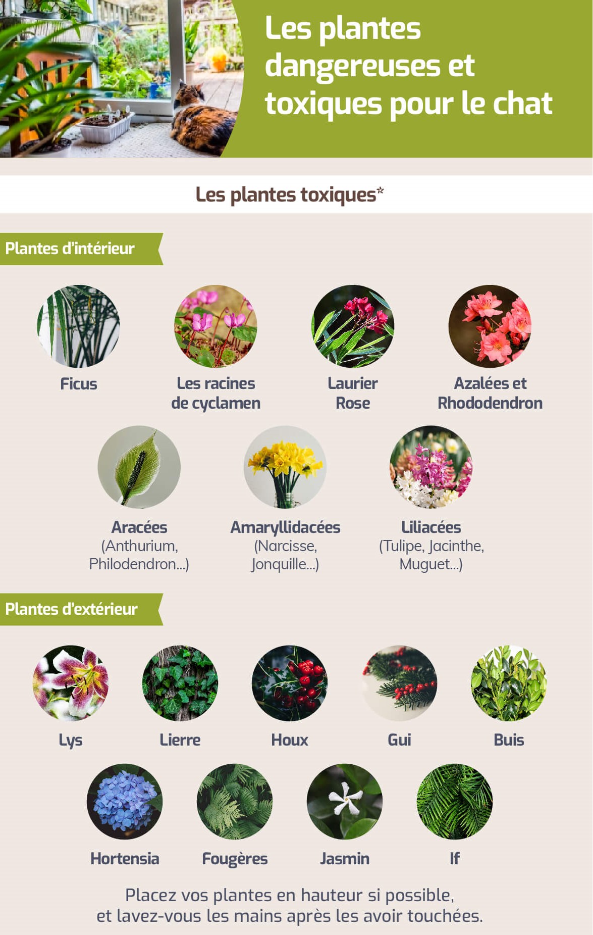 véto plantes2.jpg