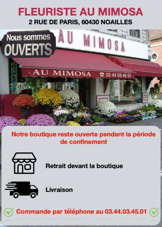 mimosa ouvert.jpg