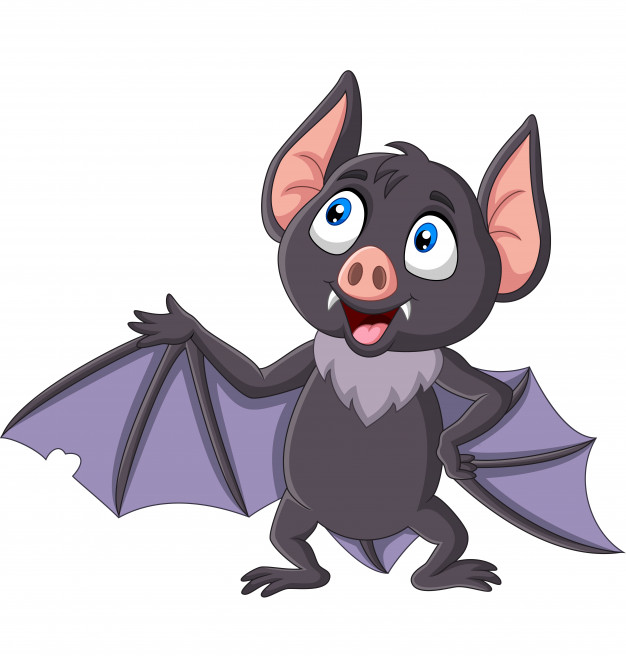condition animale-chauve souris.jpg