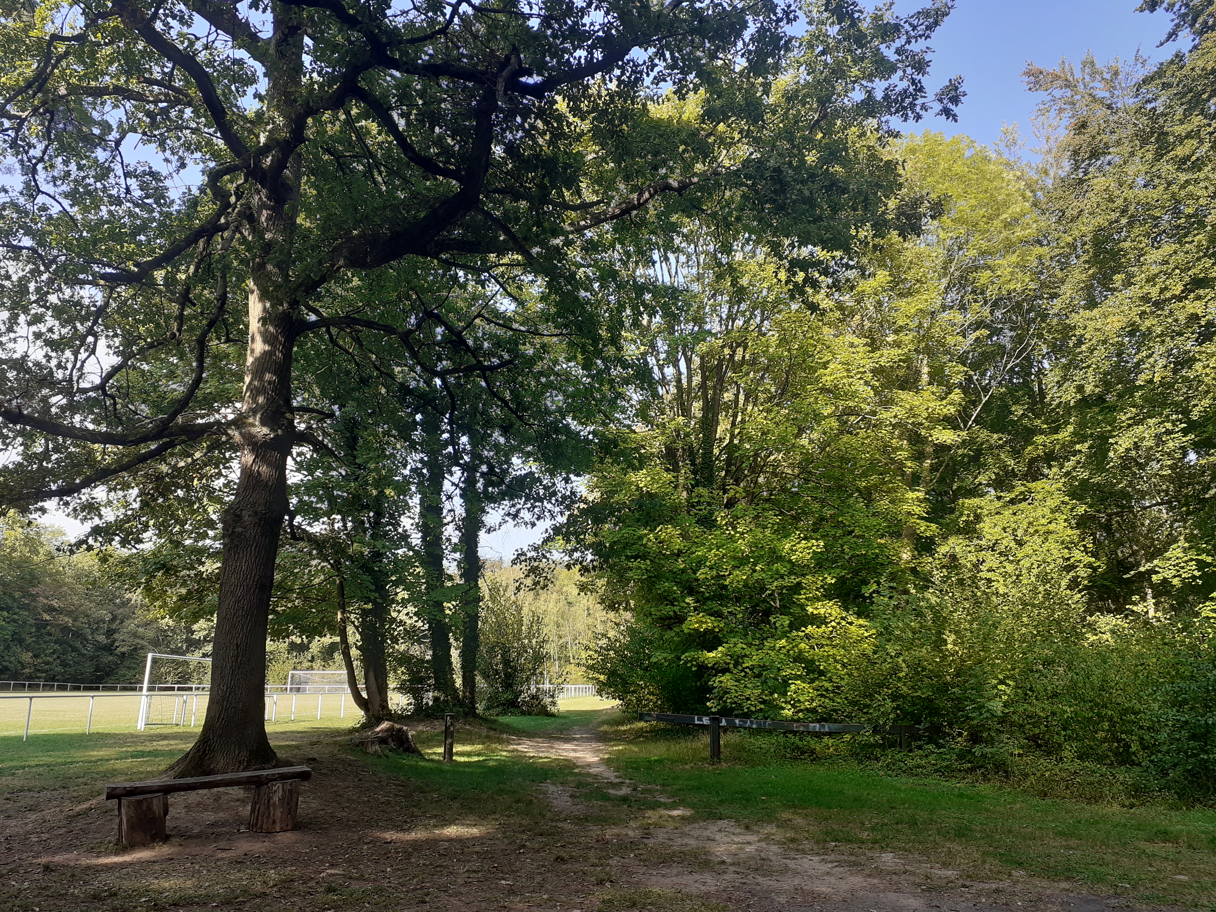 Bois du Larris - 20200910_171248.jpg