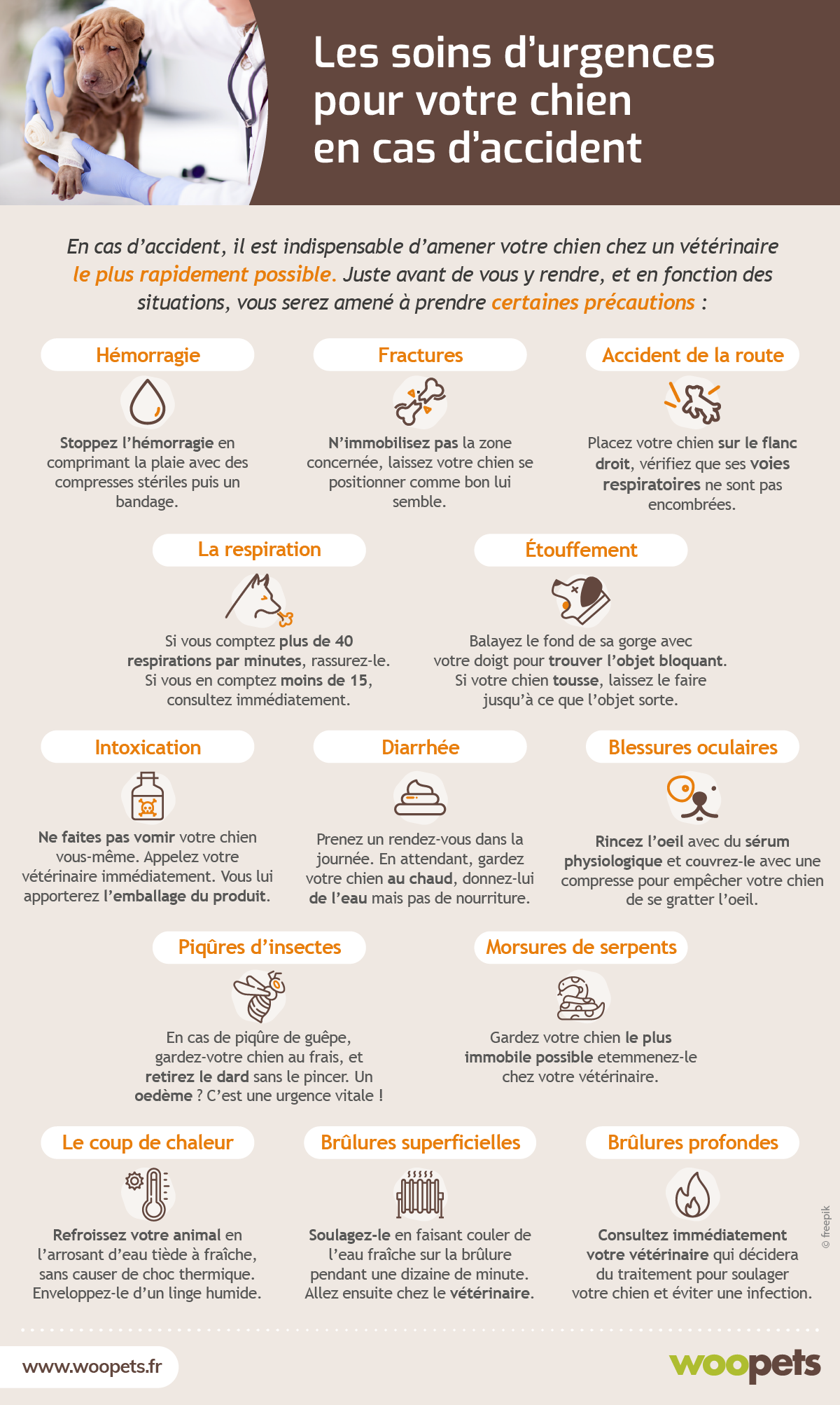 condition animale-soins d_urgences chien - Mégane.png