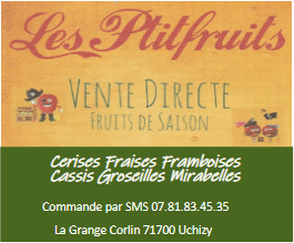 petitfruit.png